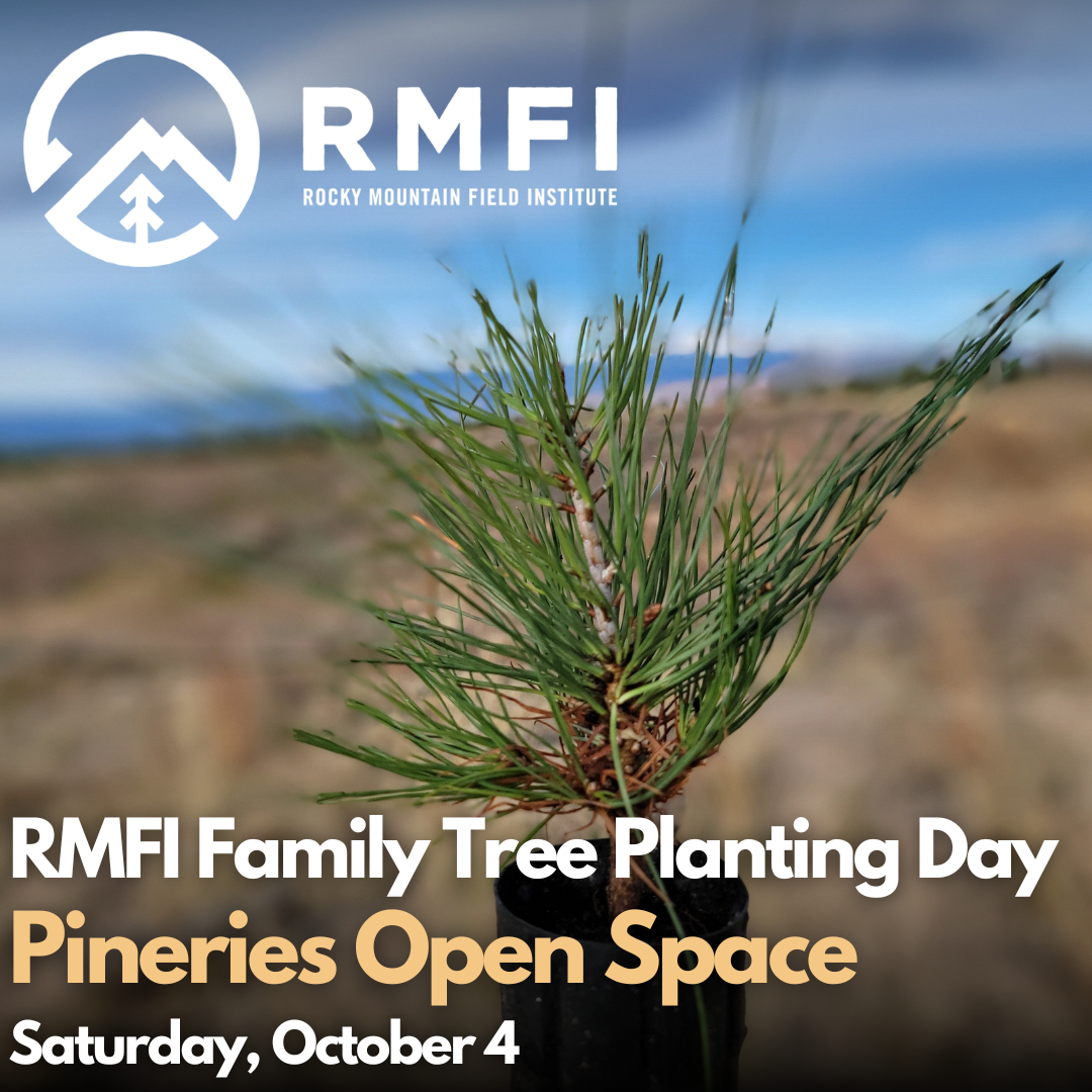 RMFI Family Tree Planting Day at the Pineries Open Space