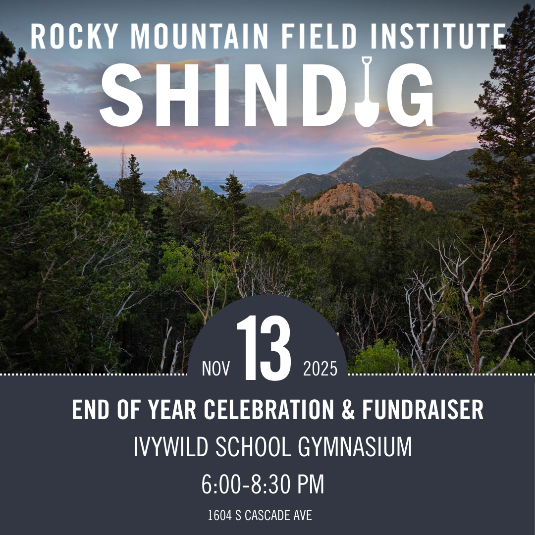 17th Annual RMFI ShinDIG