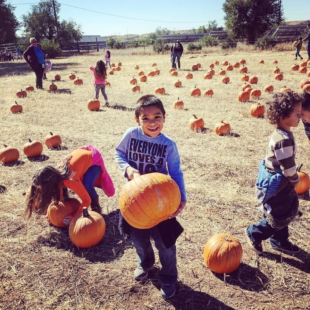 Wilder is coming to Venetucci Farm