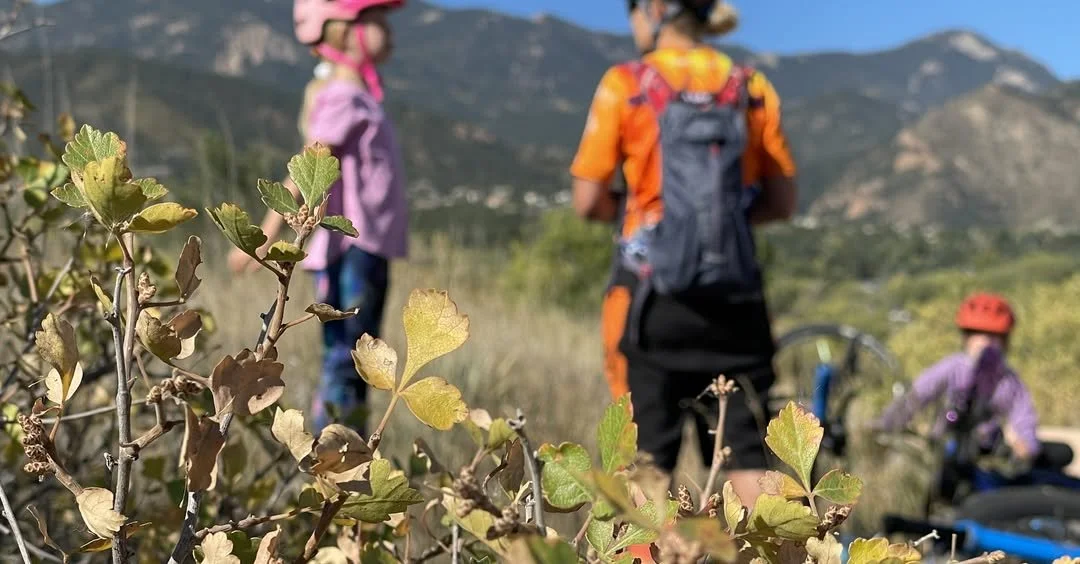 Take a kids mountain biking day at Bear Creek Regional Park