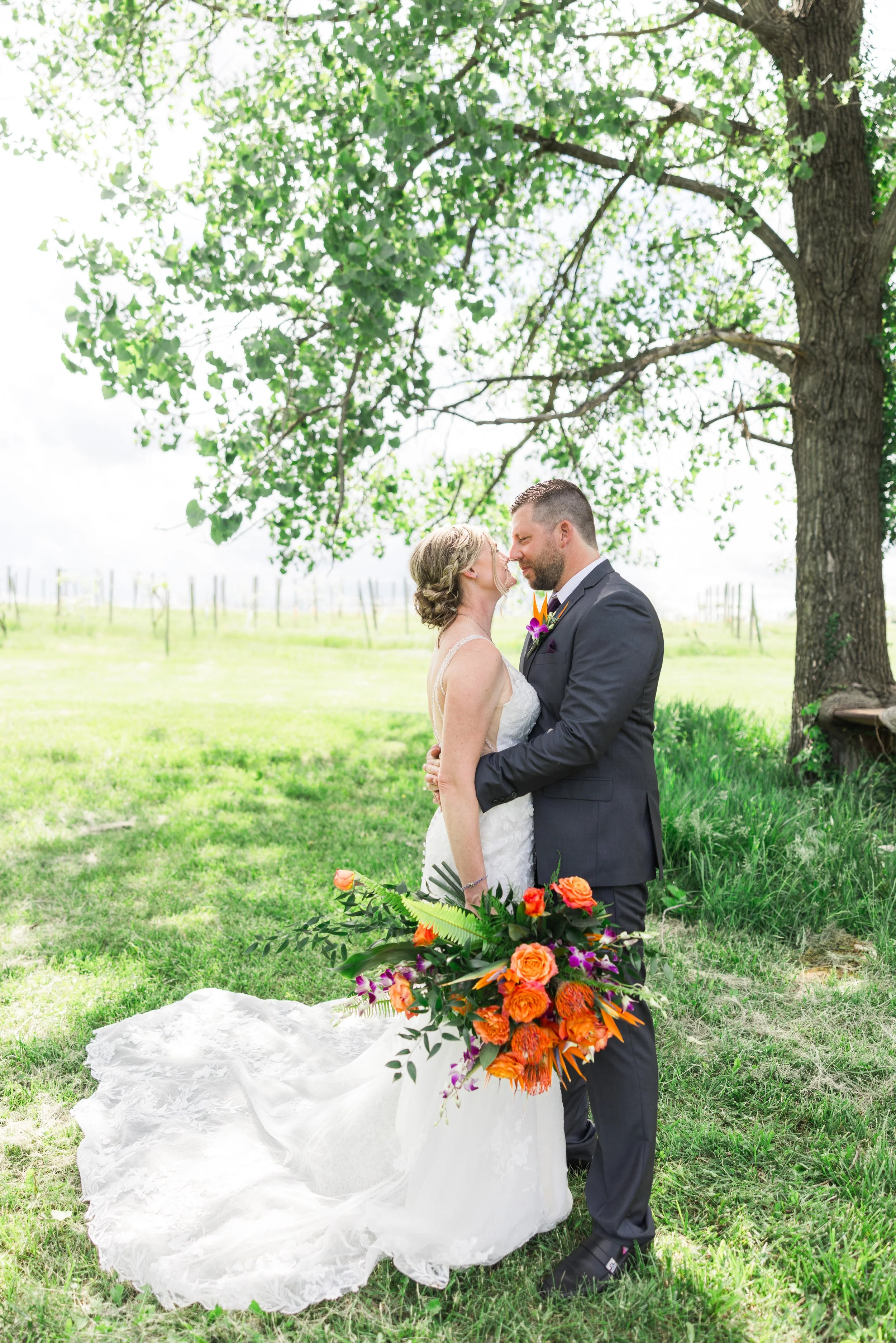 Photos in the Vineyard*