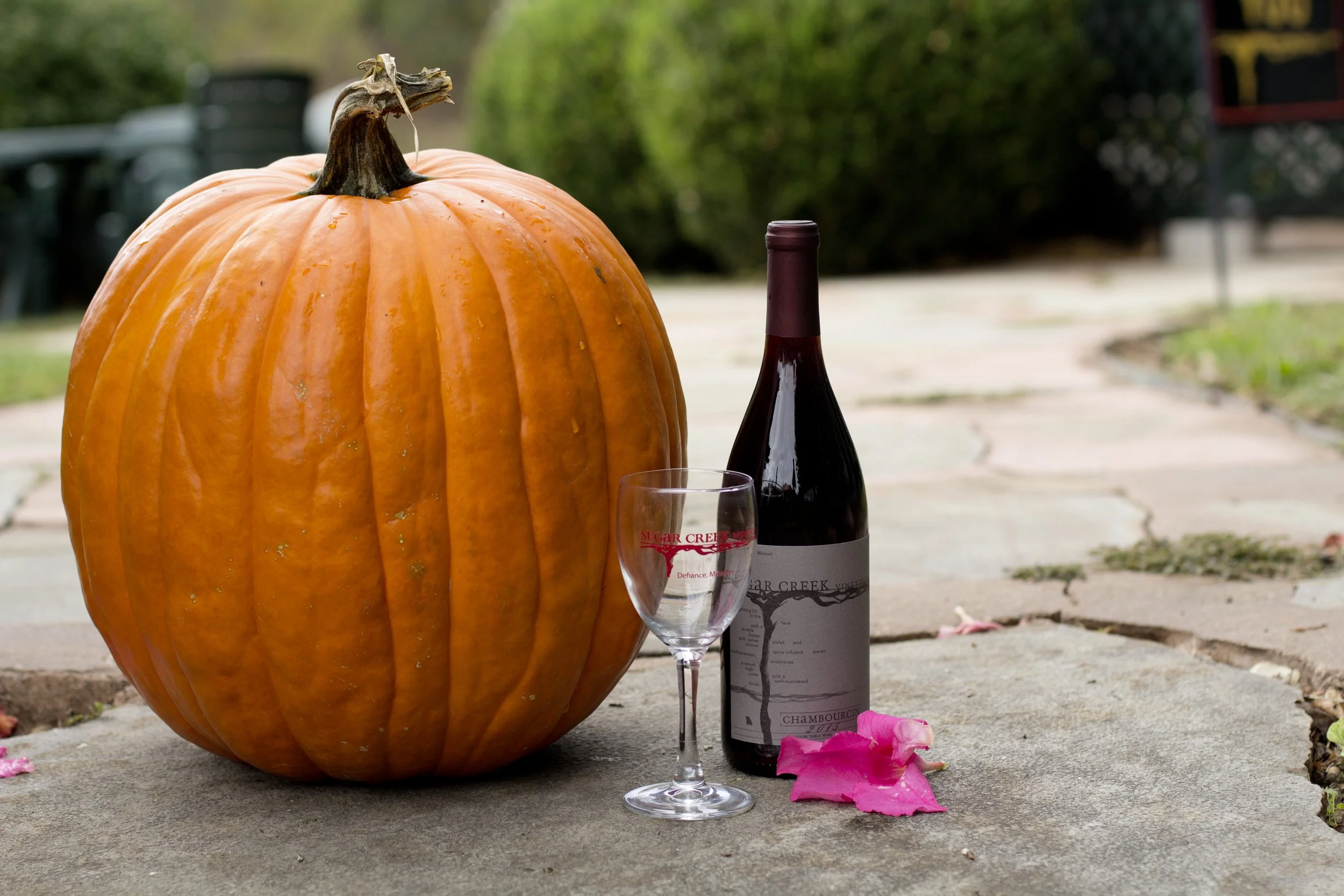Pumpkin2.jpg