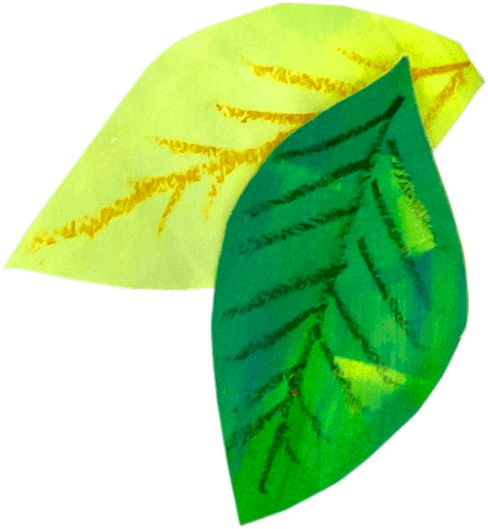 Happy Campers Leaves Transparent.png