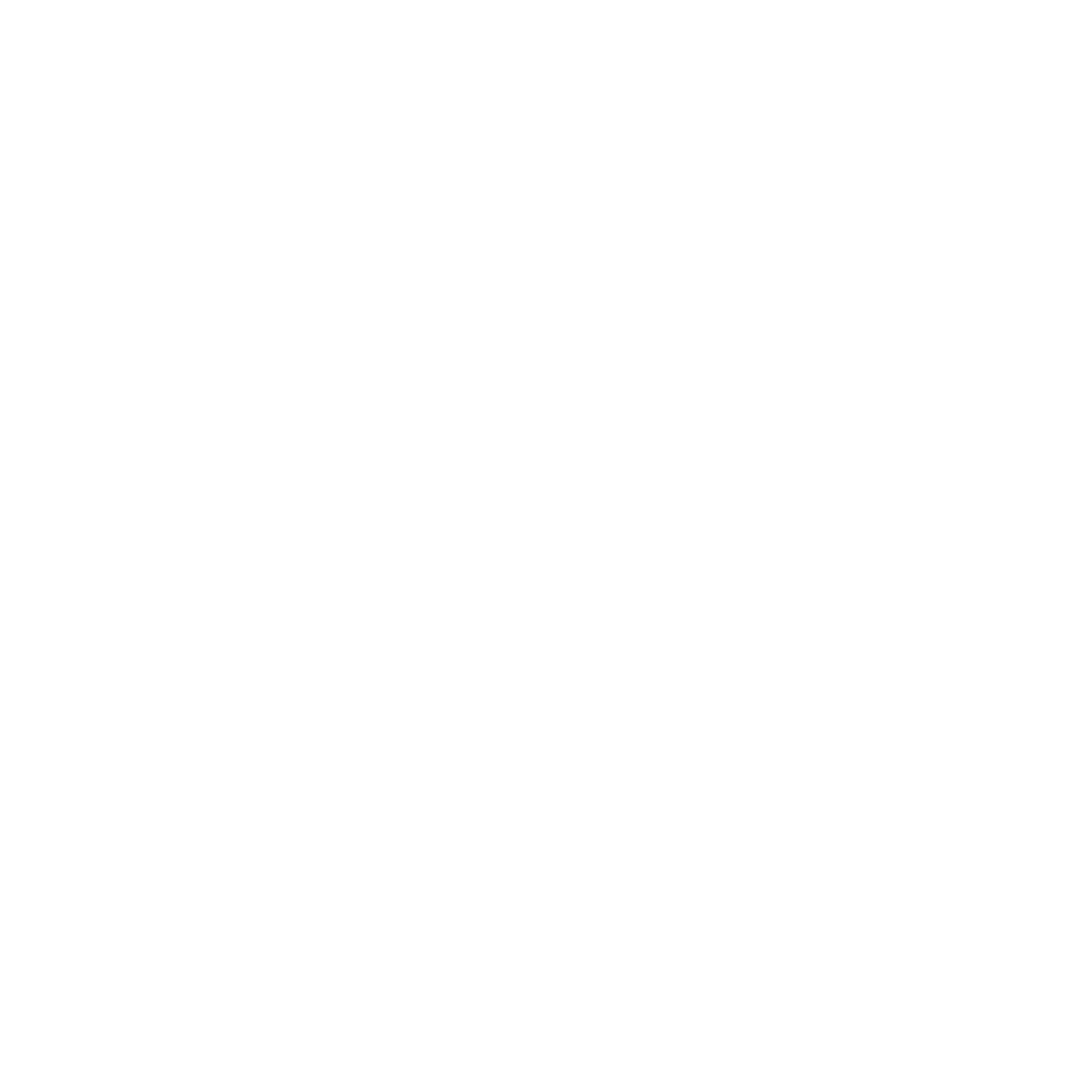 White Fox Boutique