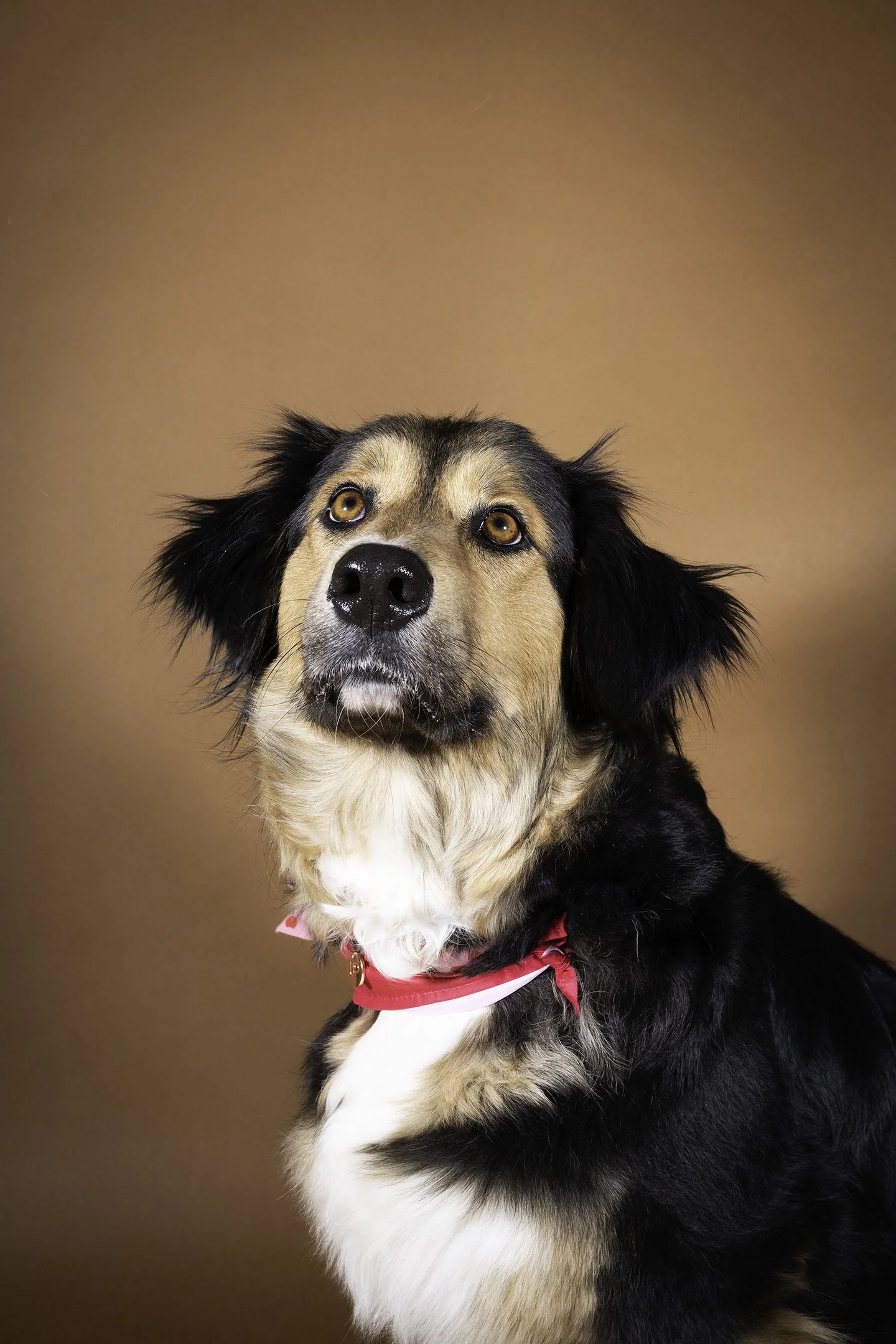 Torta_Web:Social Size.jpg