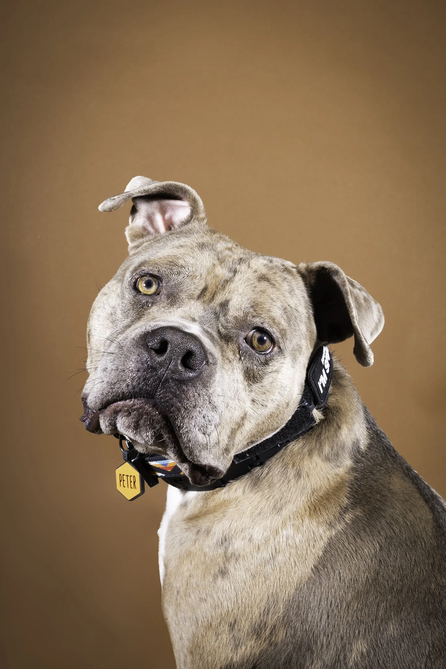 Peter_Web:Social Size.jpg