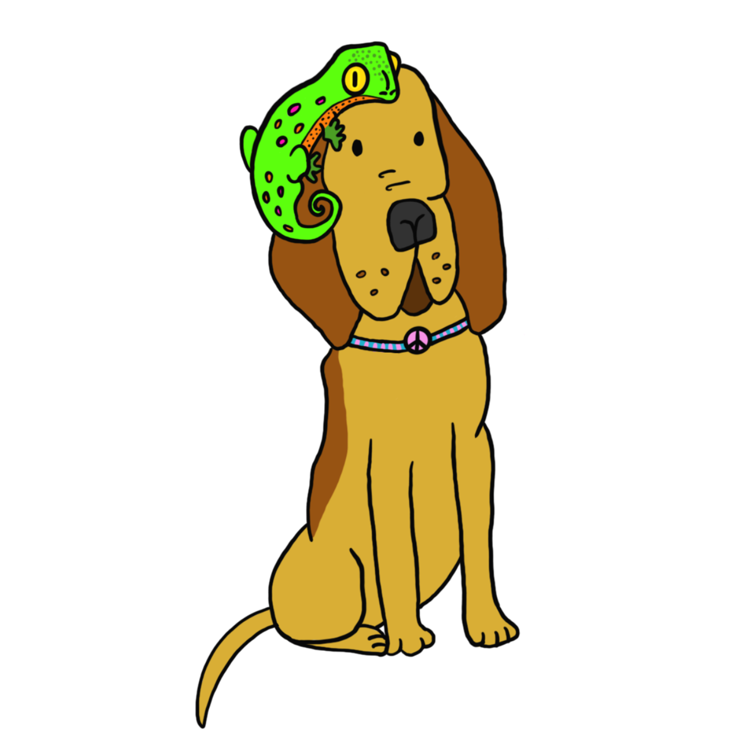 Drawing of a dog with long ears, sitting with a chameleon resting on its head, wearing a peace sign collar.