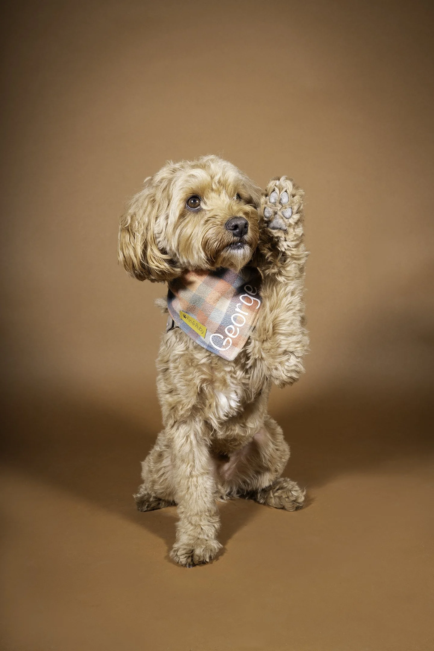 George02_Social Size.jpg