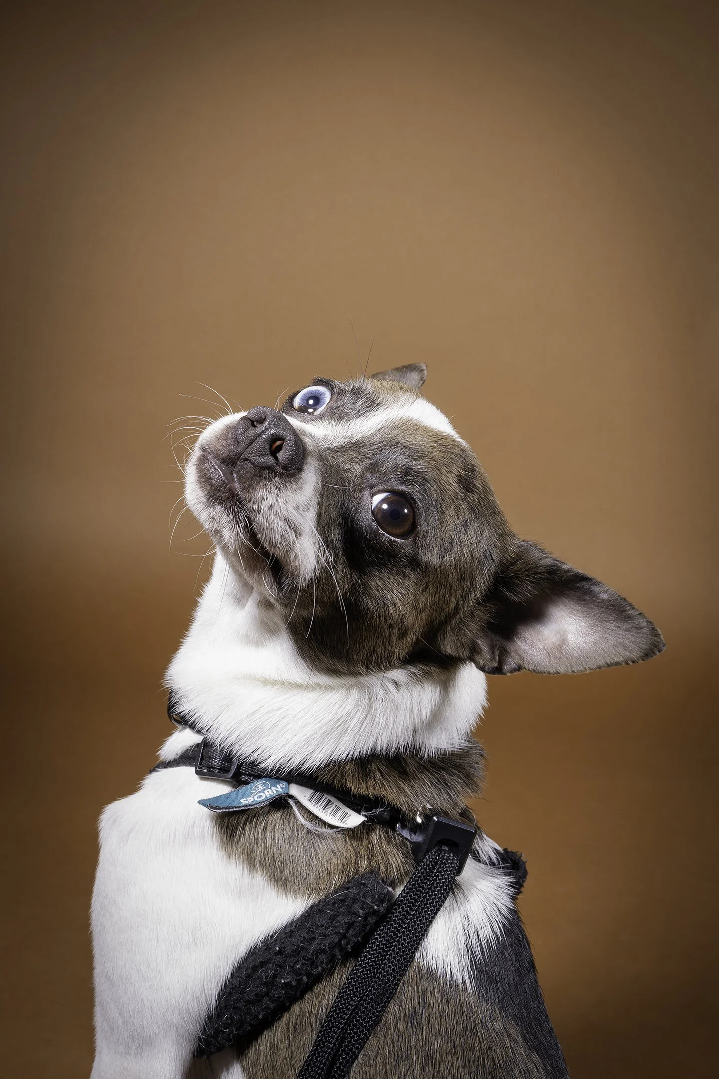 Guerro01_Social:web size.jpg