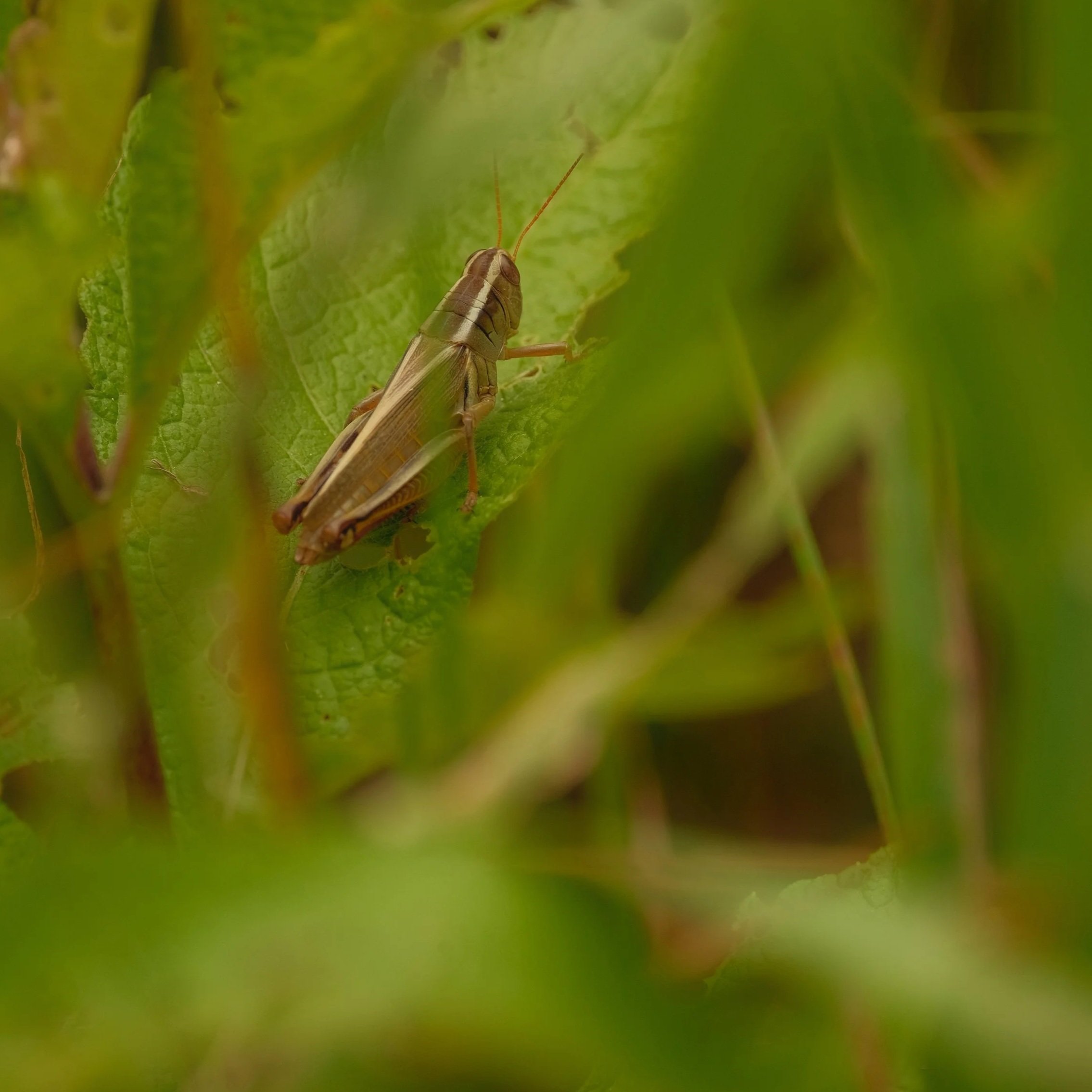 DSCF6658.jpg