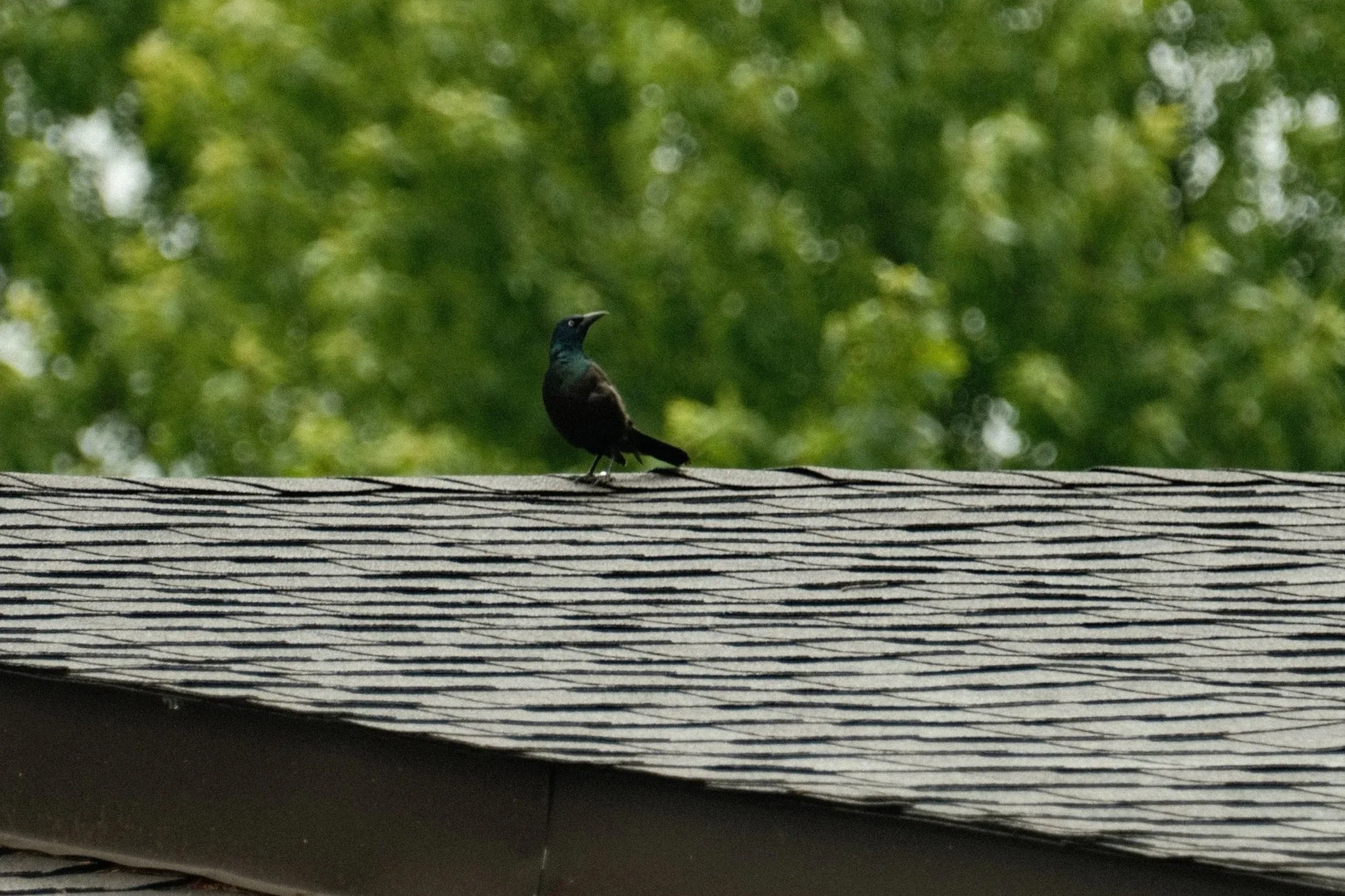 DSCF6134.jpg