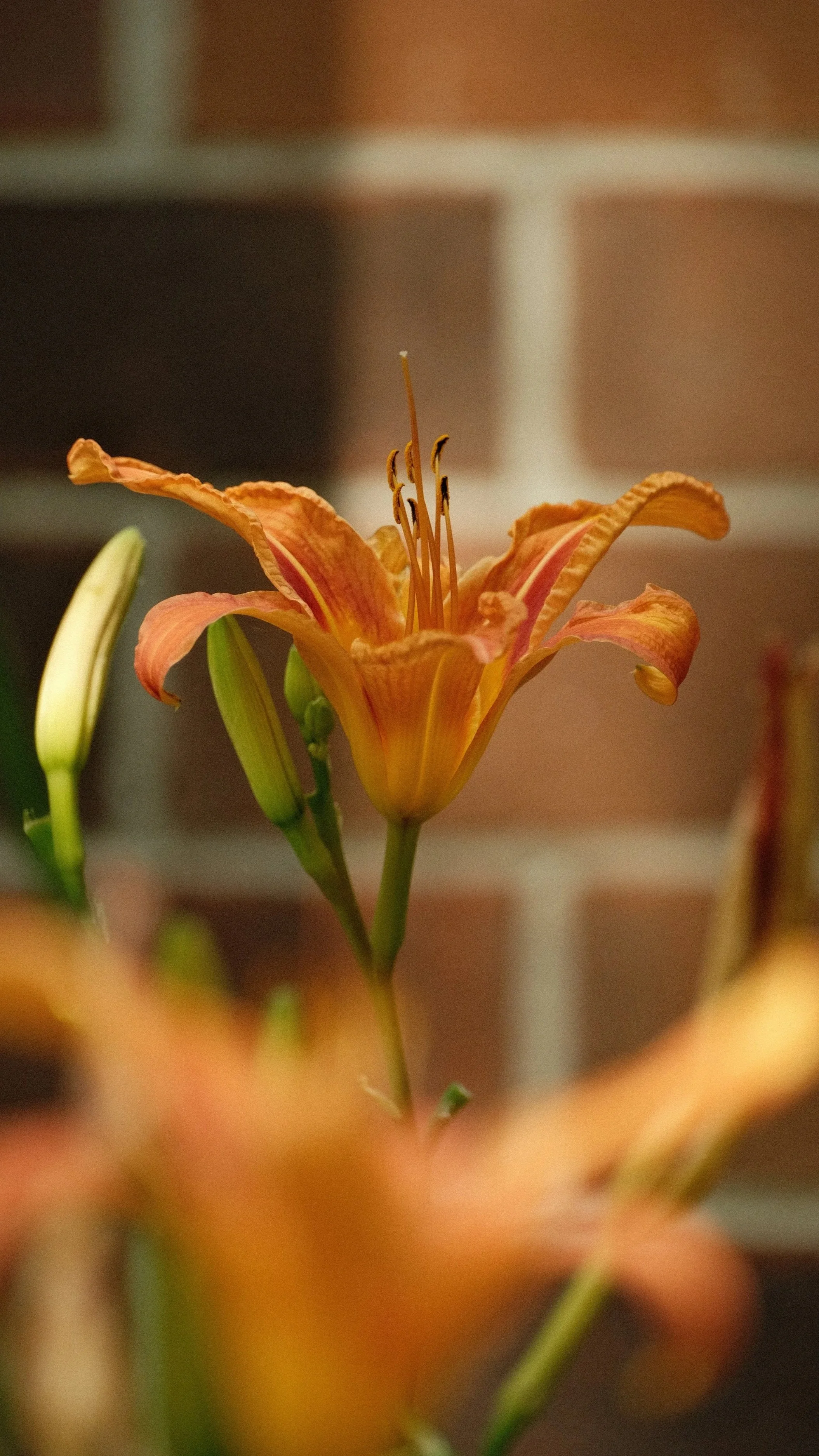 DSCF6191.jpg