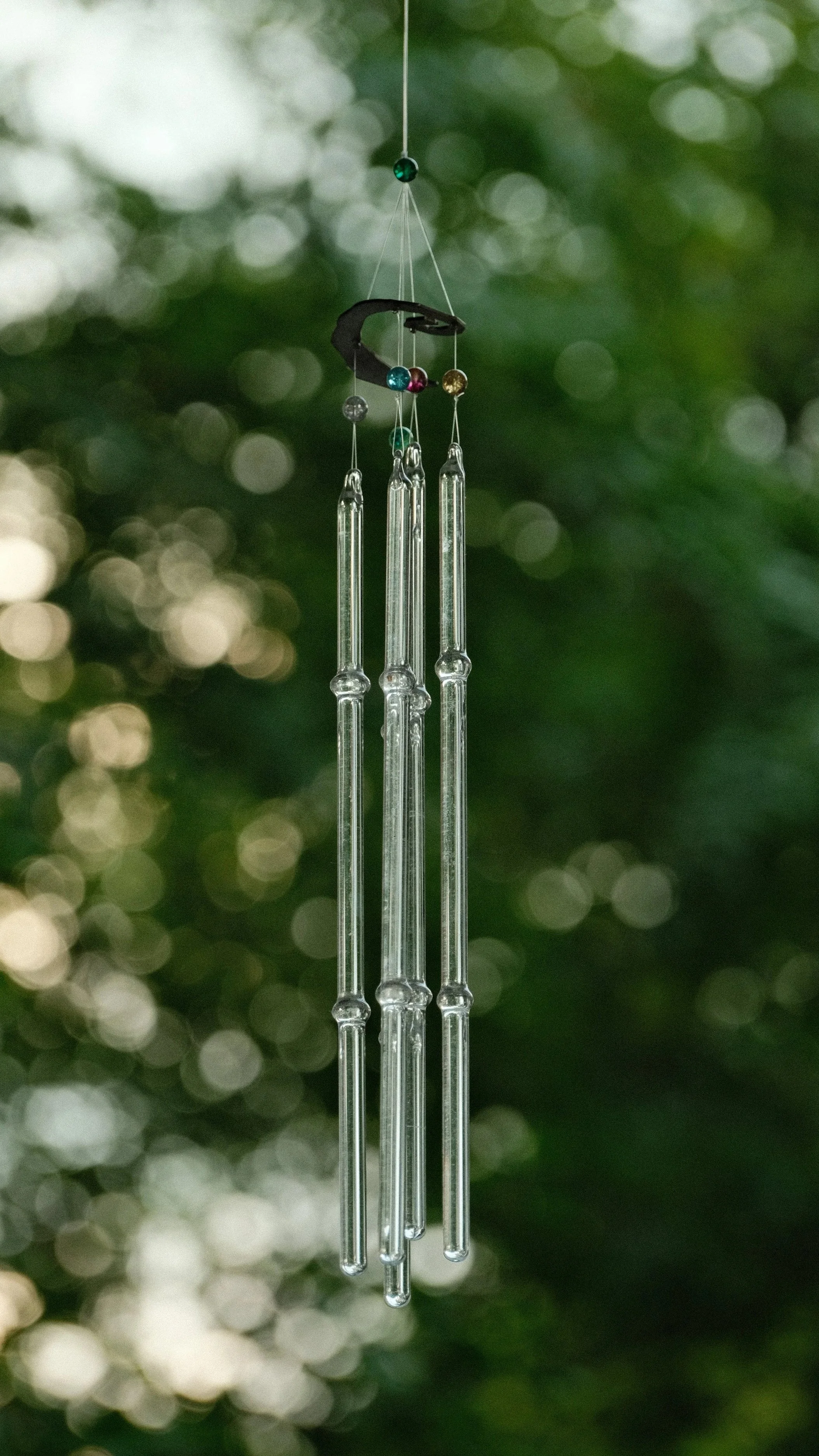 DSCF6339.jpg