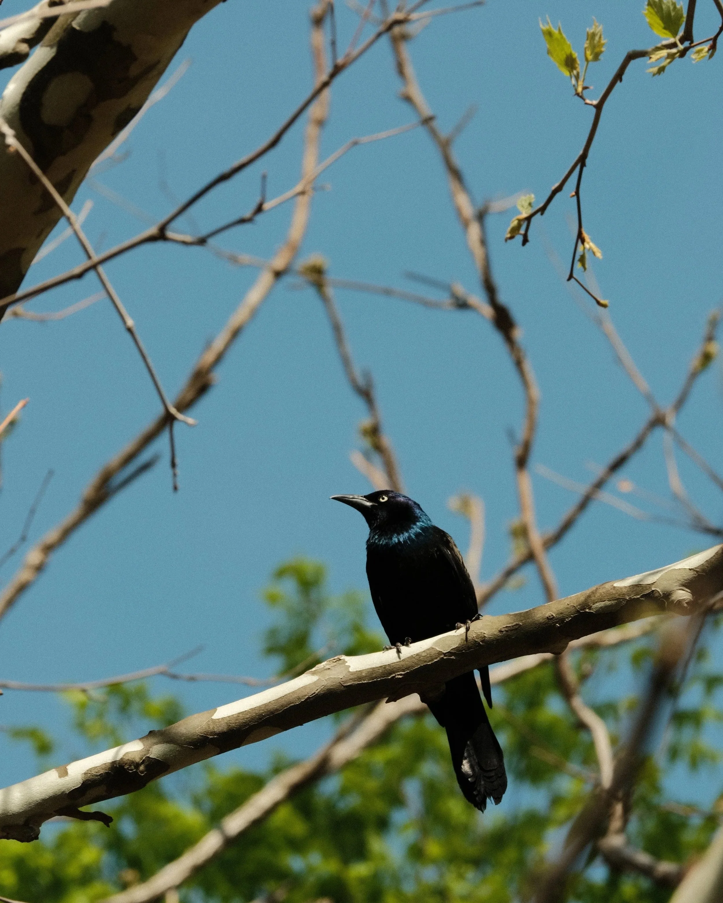 DSCF5865.jpg
