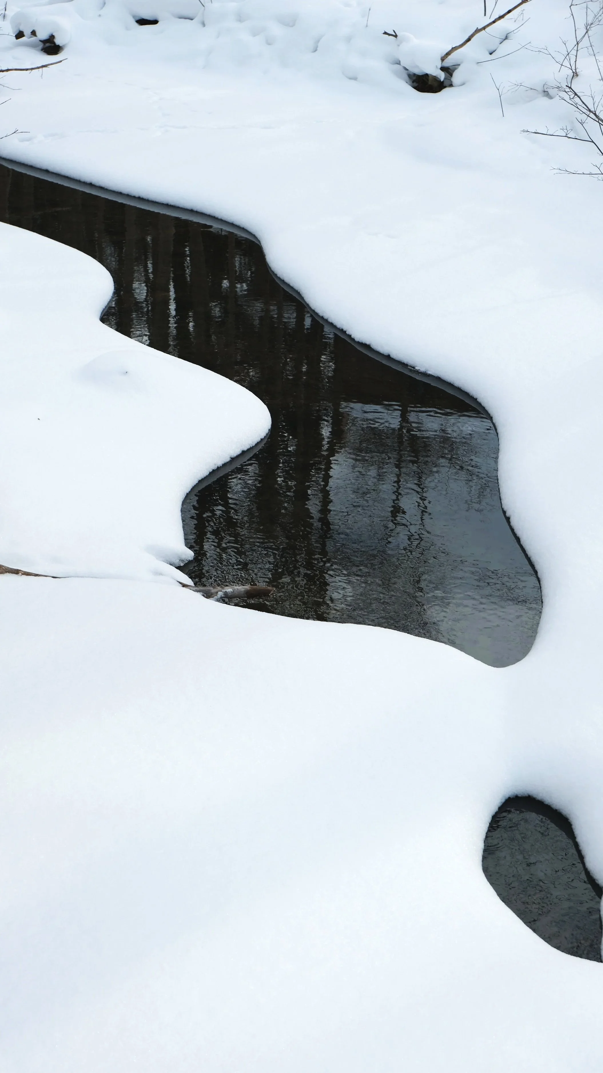 DSCF5151.jpg