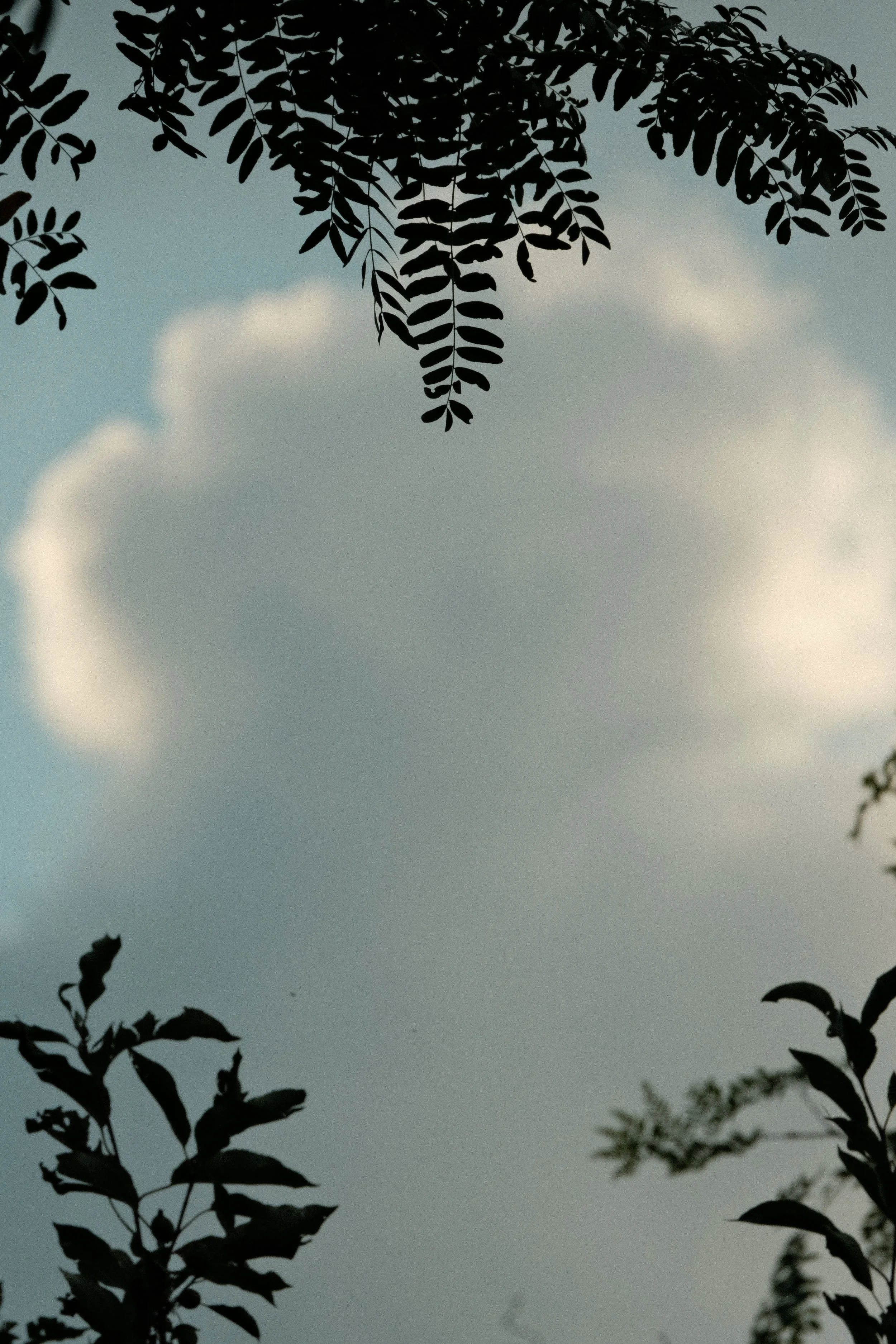 DSCF6364.jpg