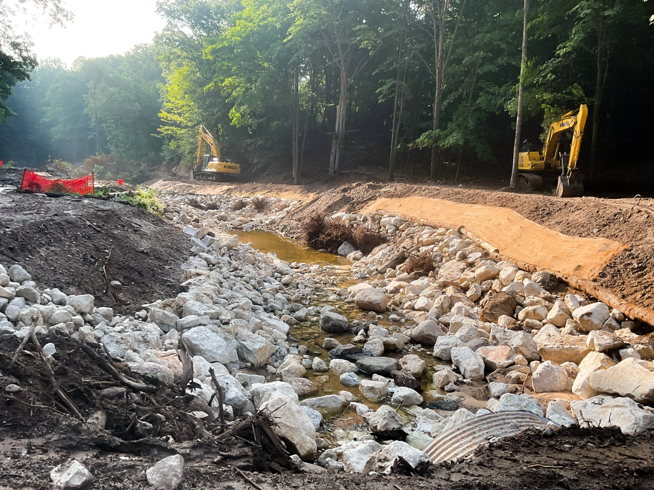 20230727_124431159_iOS 1.jpg