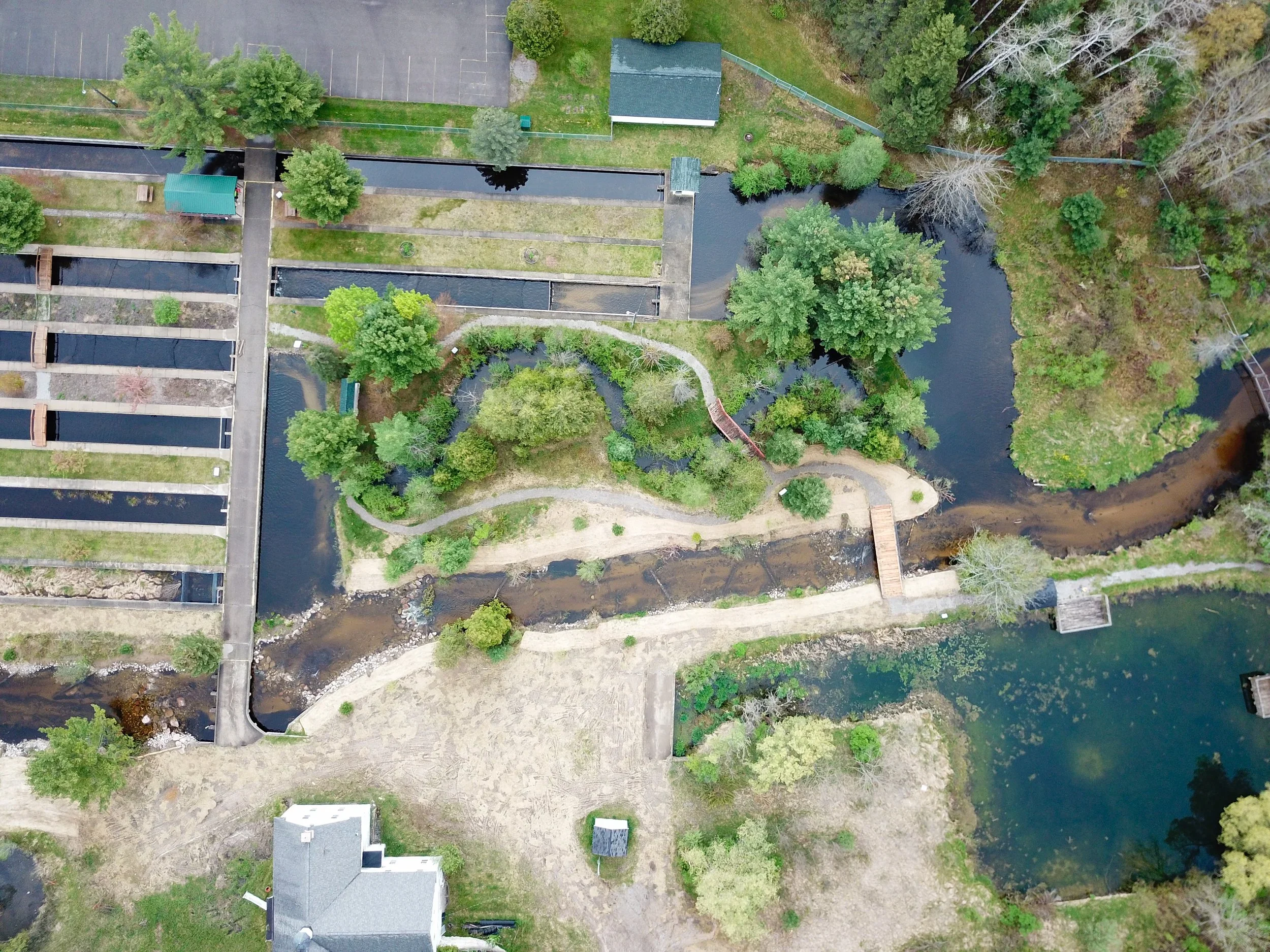 GRAYLING FISH HATCHERY.webp