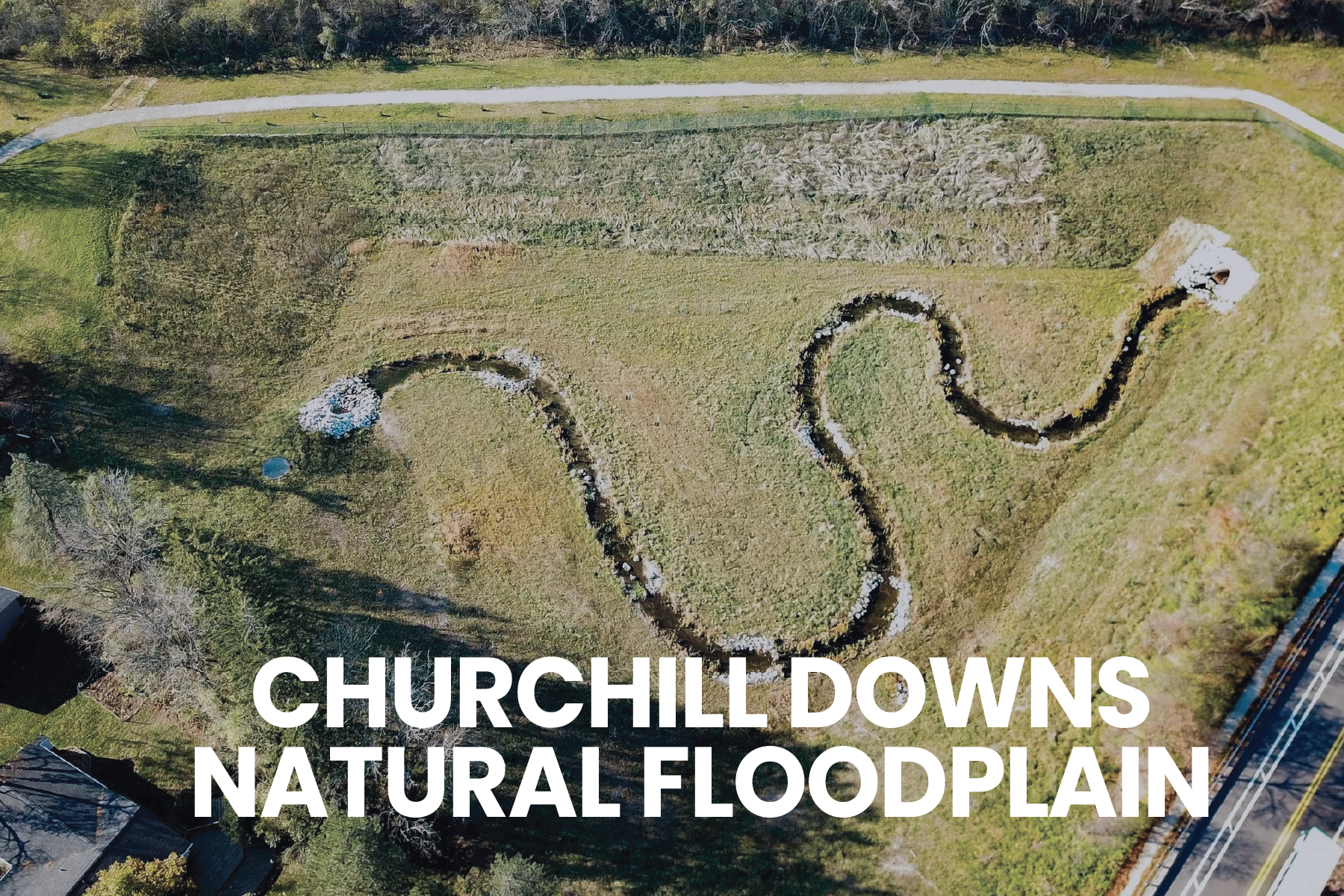 Squarespace Header Pics-07.png