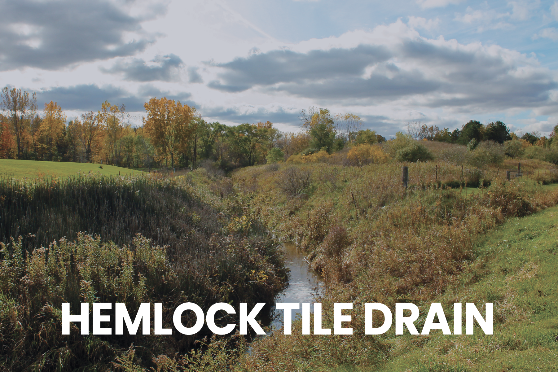 HEADER PHOTOS use-37.png