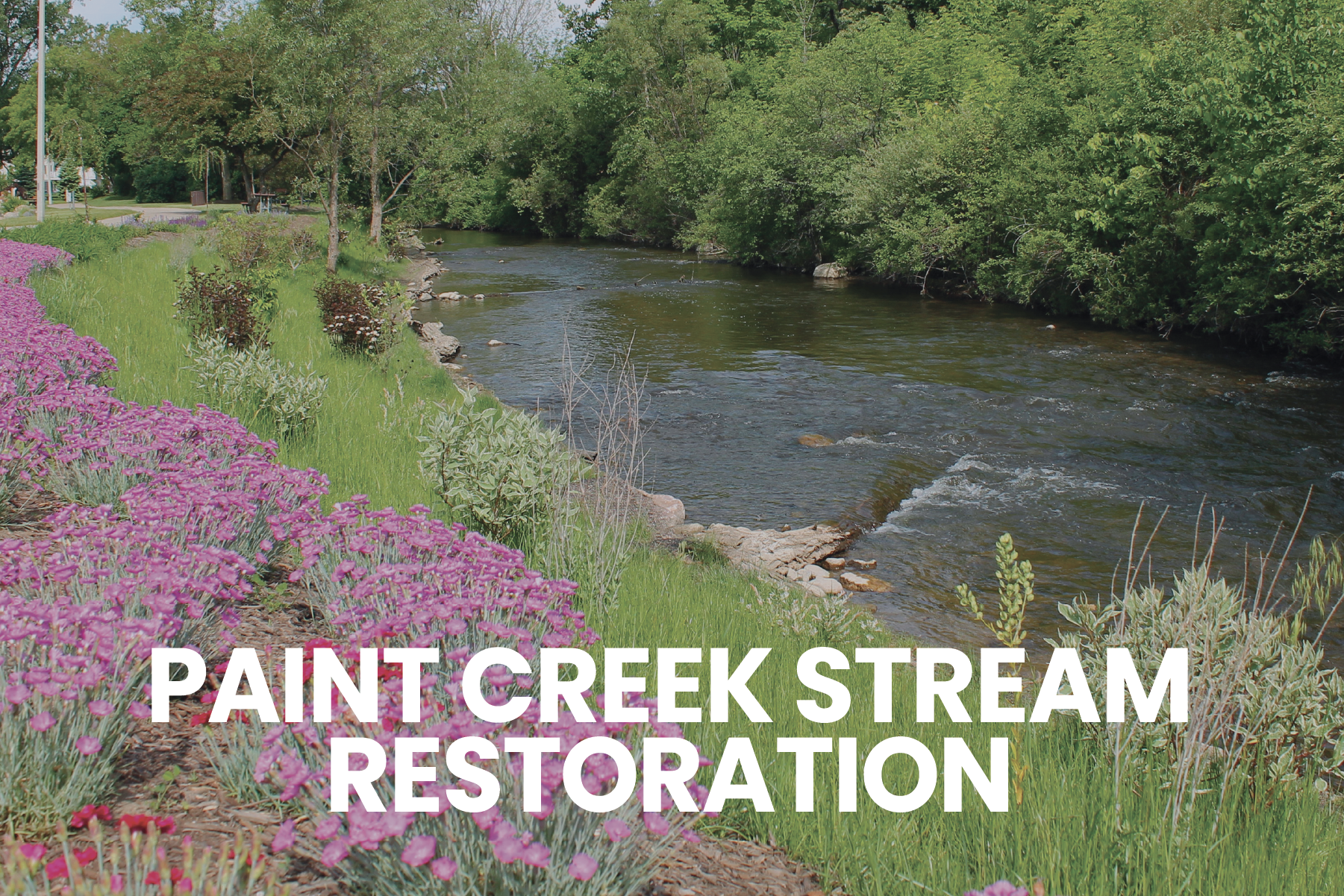 HEADER PHOTOS use-40.png