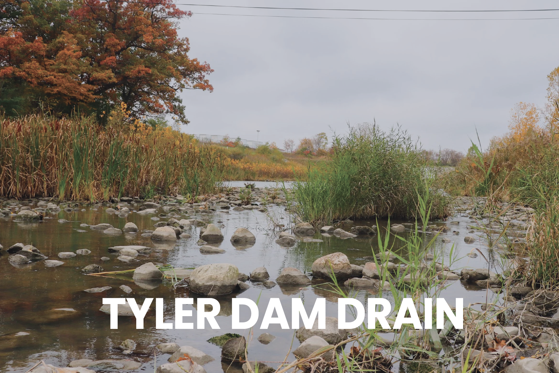 HEADER PHOTOS-43.png