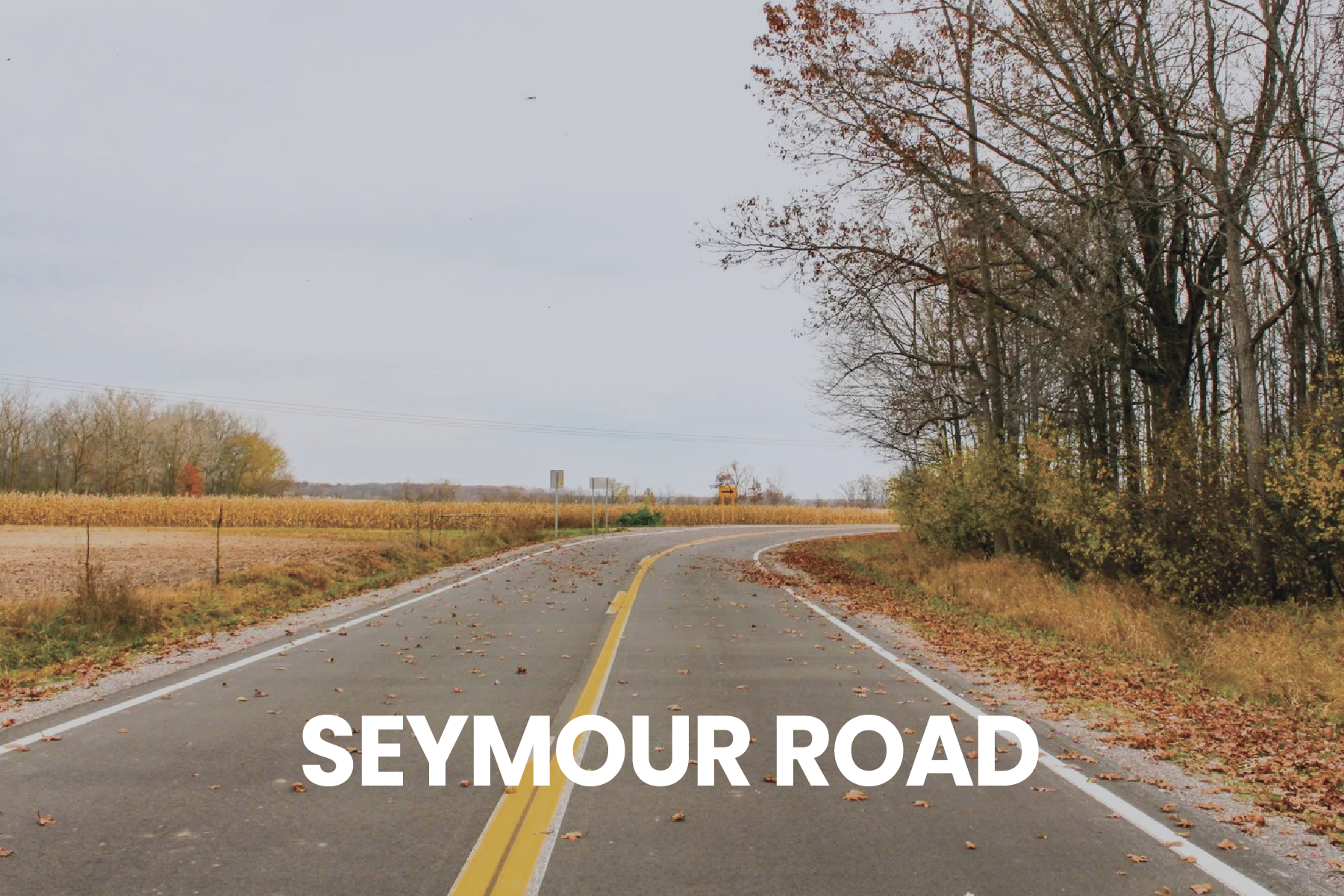 HEADER PHOTOS-52.png