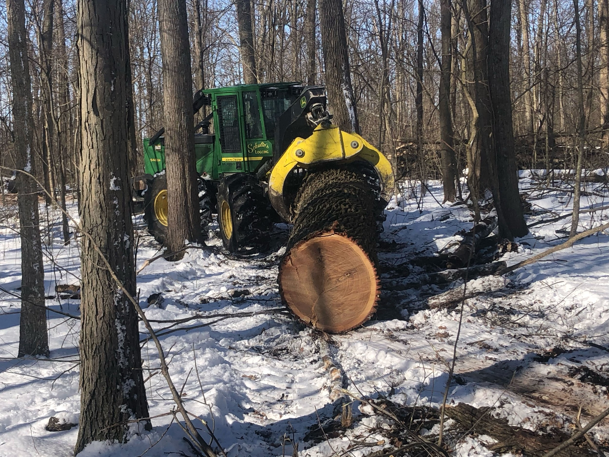 Forestry vehicle with large logs in snowy forest