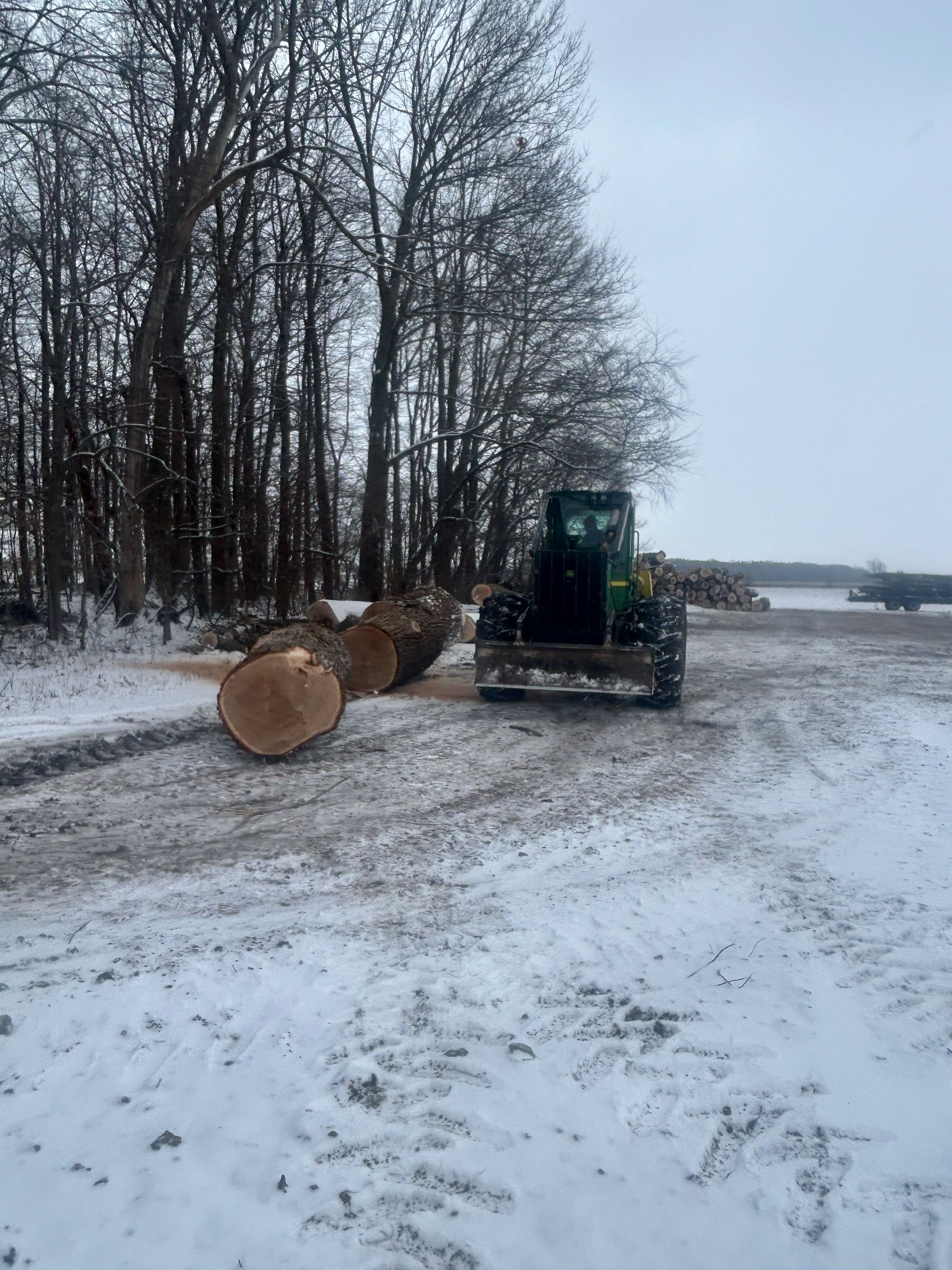 A snowy scene with a large, green tractor moving cut tree logs on a snow-covered road. Bare trees visible in the background.