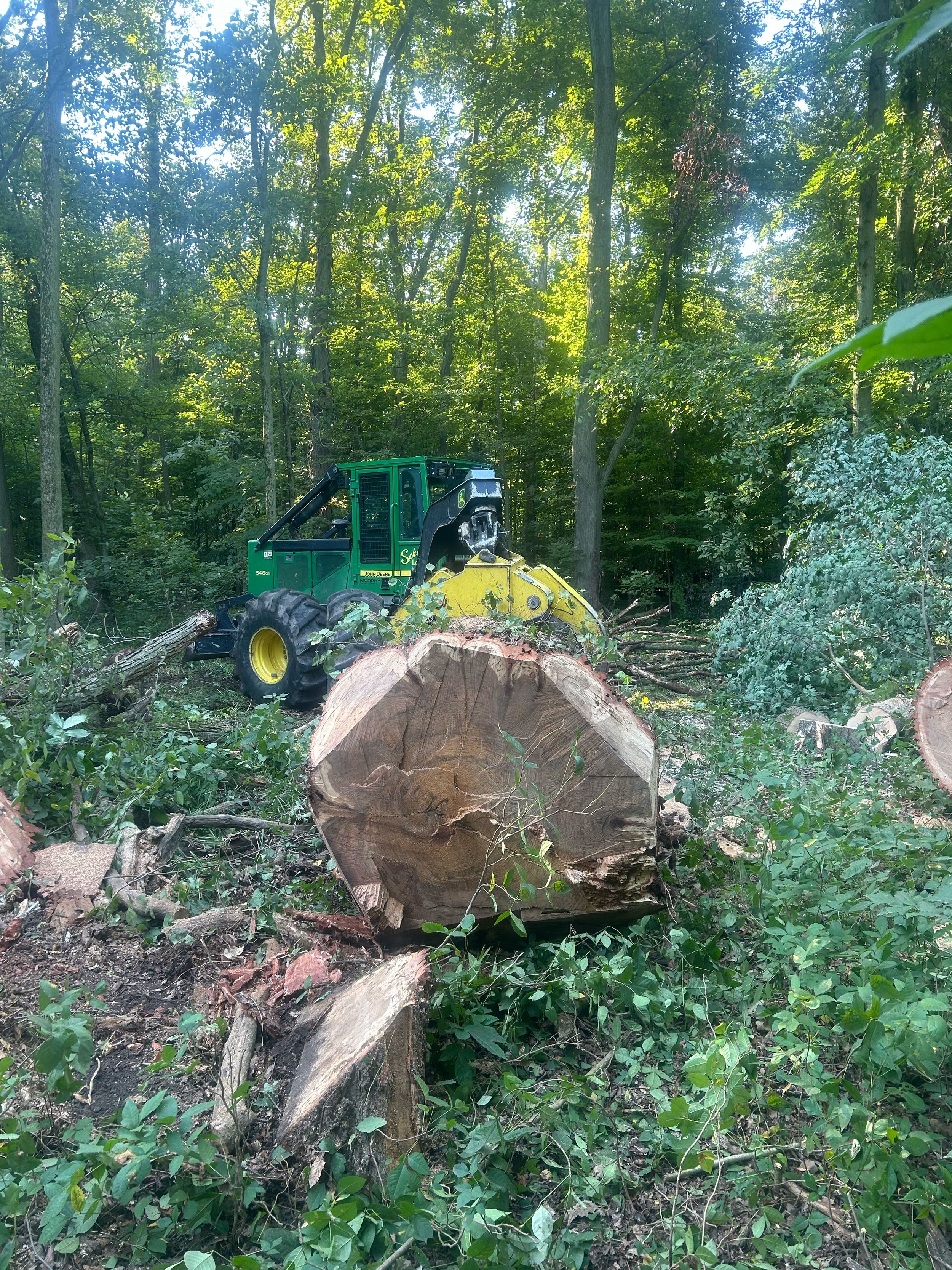 Forest scene with a large tree log on the ground and a green forestry machine among the trees.