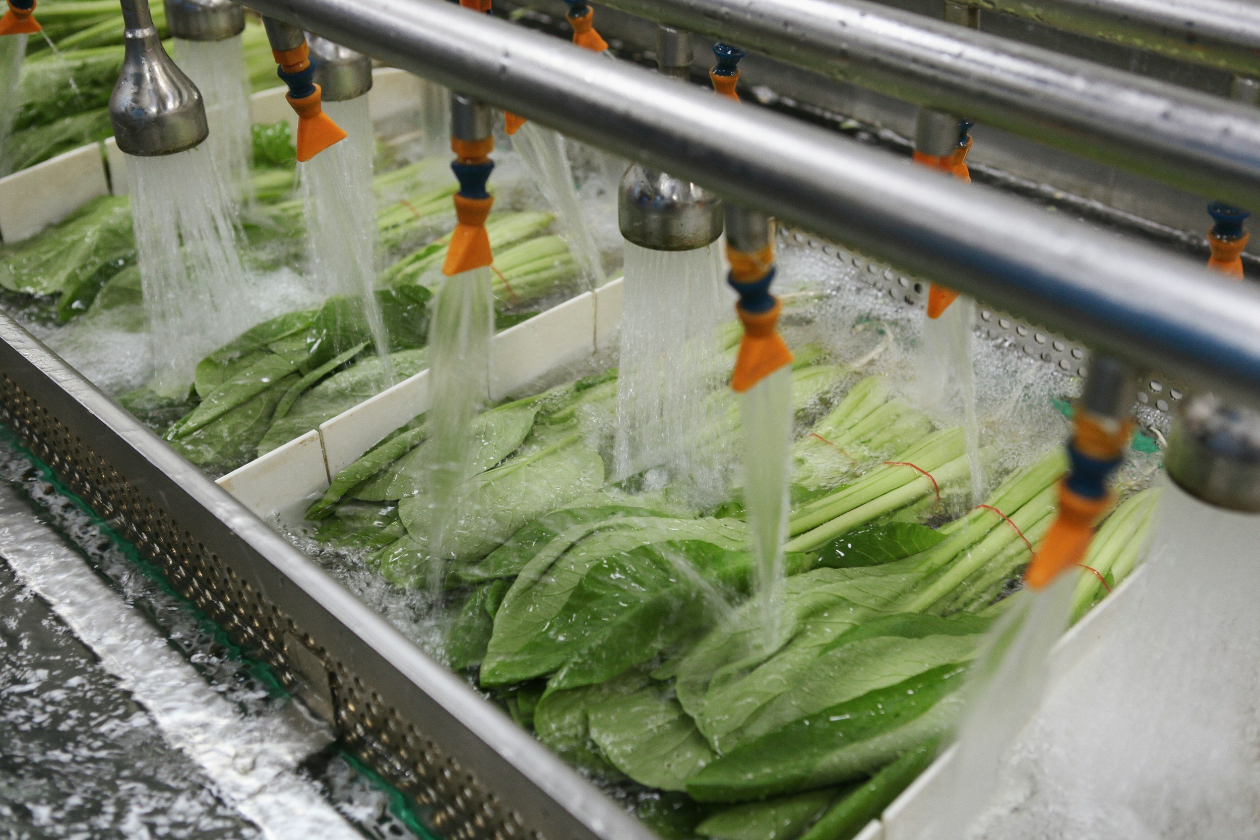 Commercial ozone water treatment system for produce washing and food processing applications