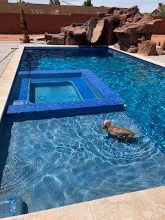 Residential pool using SourcePoint pool water treatment system after 3.5 years of operation.