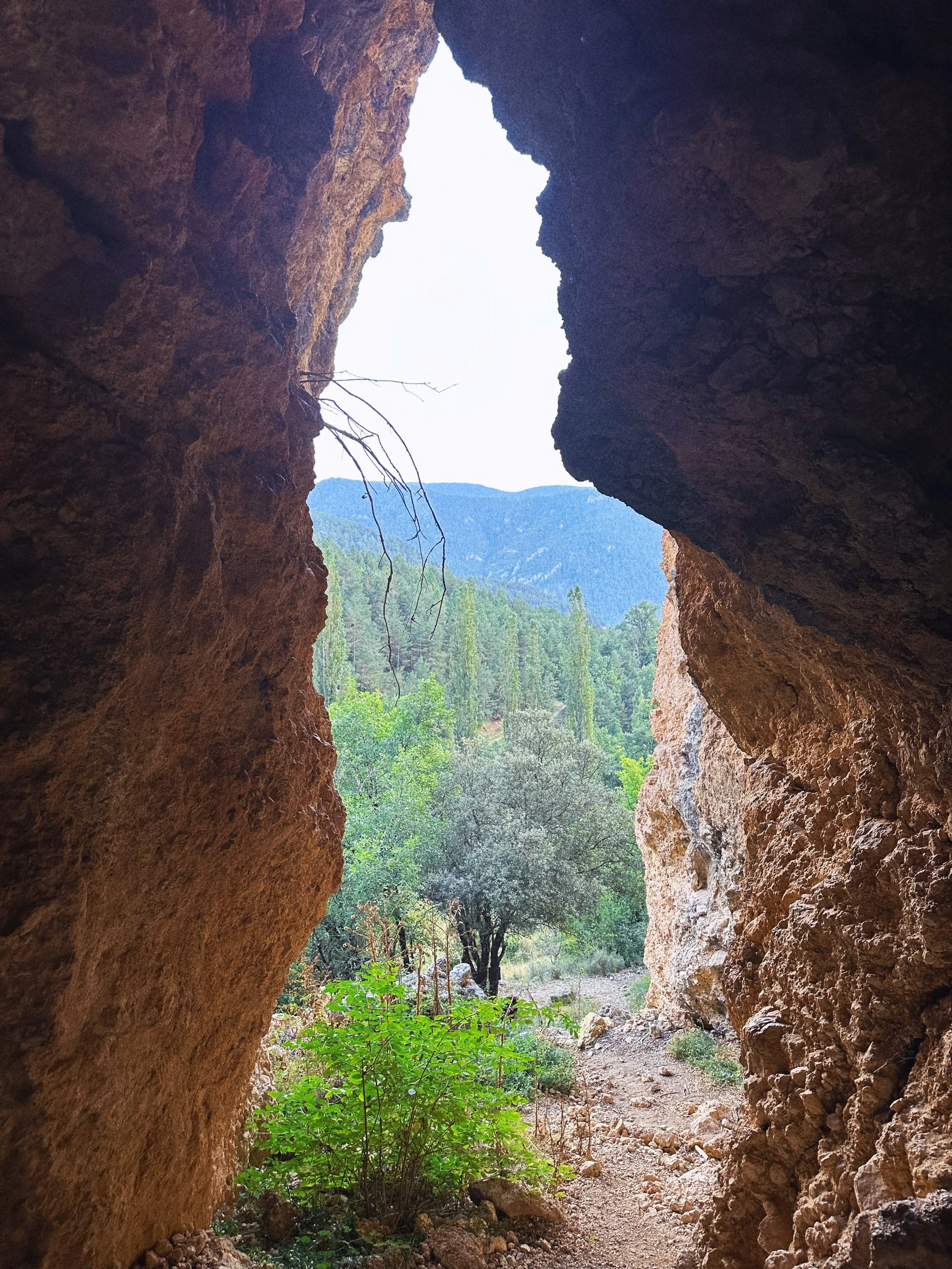 Triggered? Discharge &amp; Inquire