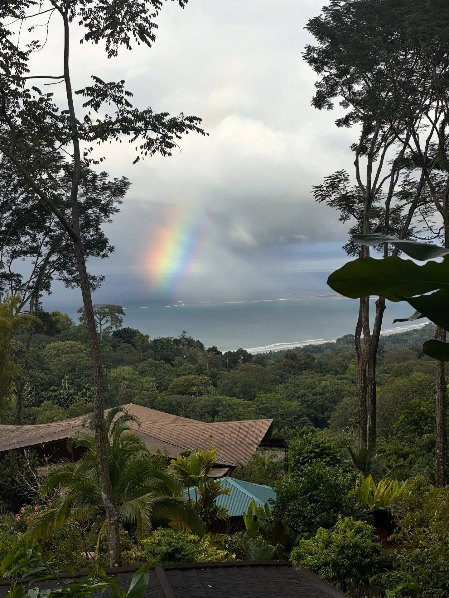 Some reflections on The Journey&hellip;

🌊 When we work at depth,

We open up the opportunity for Life Intelligence to flow through us- in all of its colours, flavours and textures. 

This Life Intelligence is vital, benevolent and potent. 

It diss