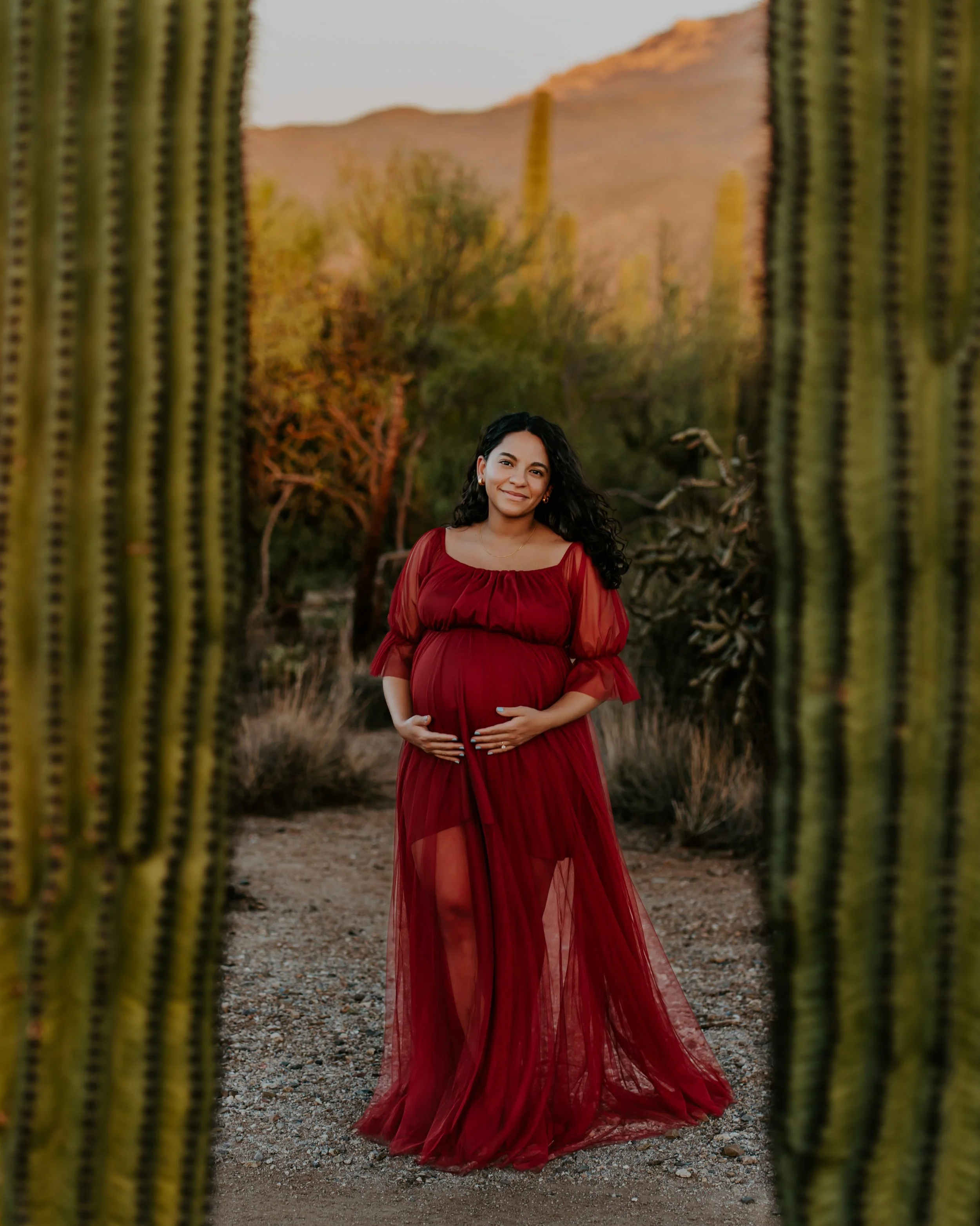 Sunset Desert Maternity Photoshoot Tucson, Arizona