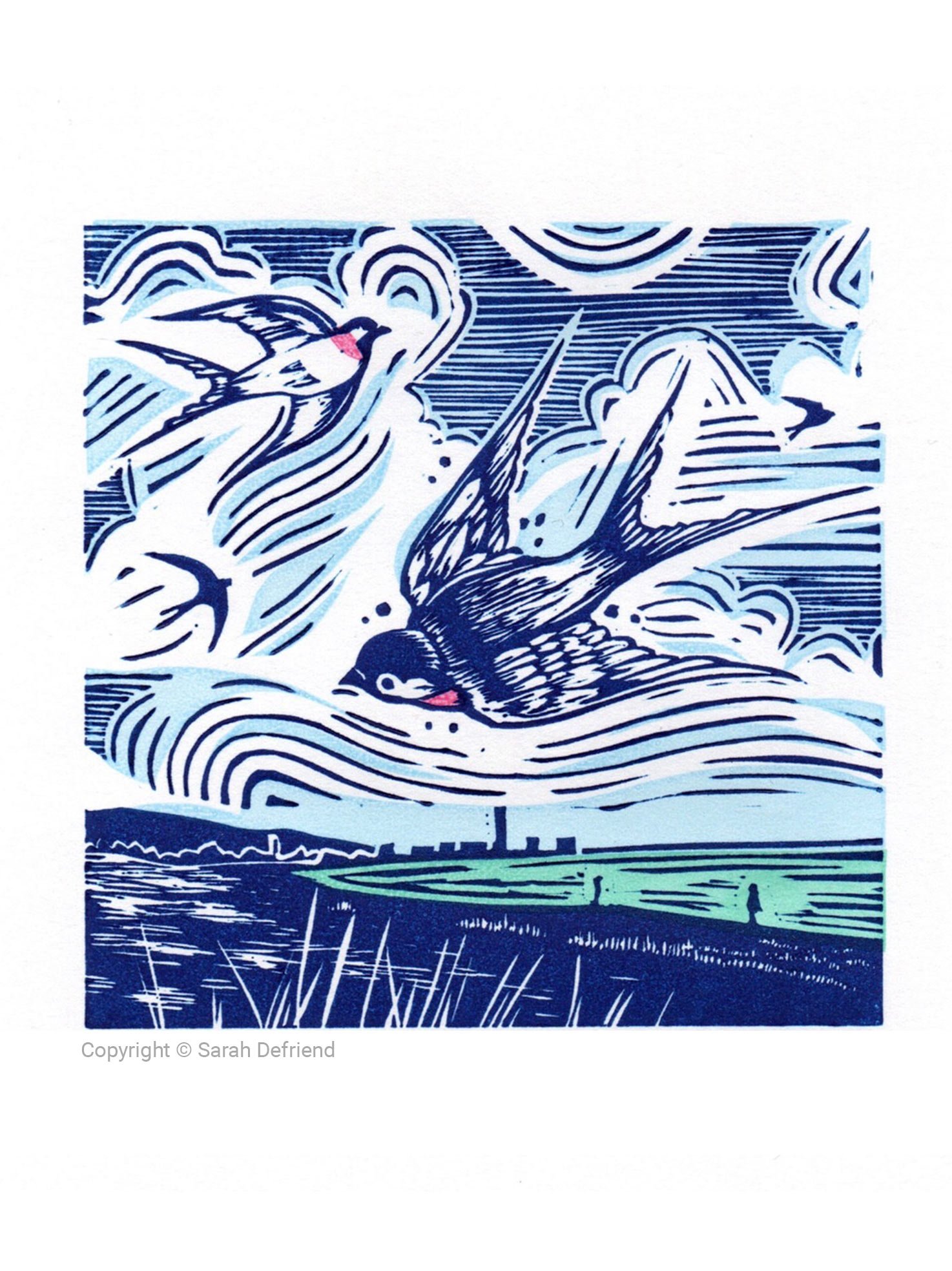 Swansea Swallows