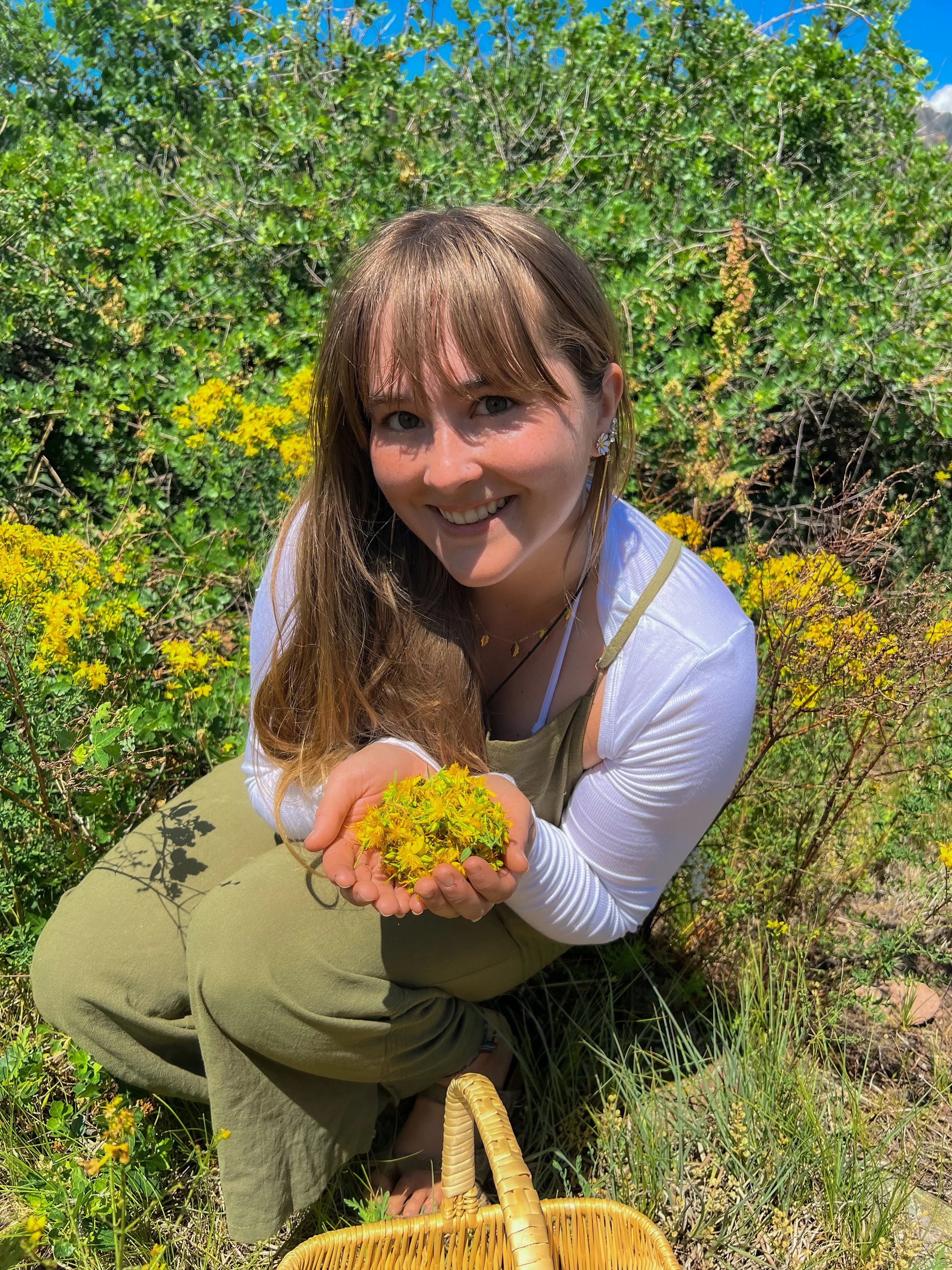 Herbs for the Nervous system and their flower essence meanings