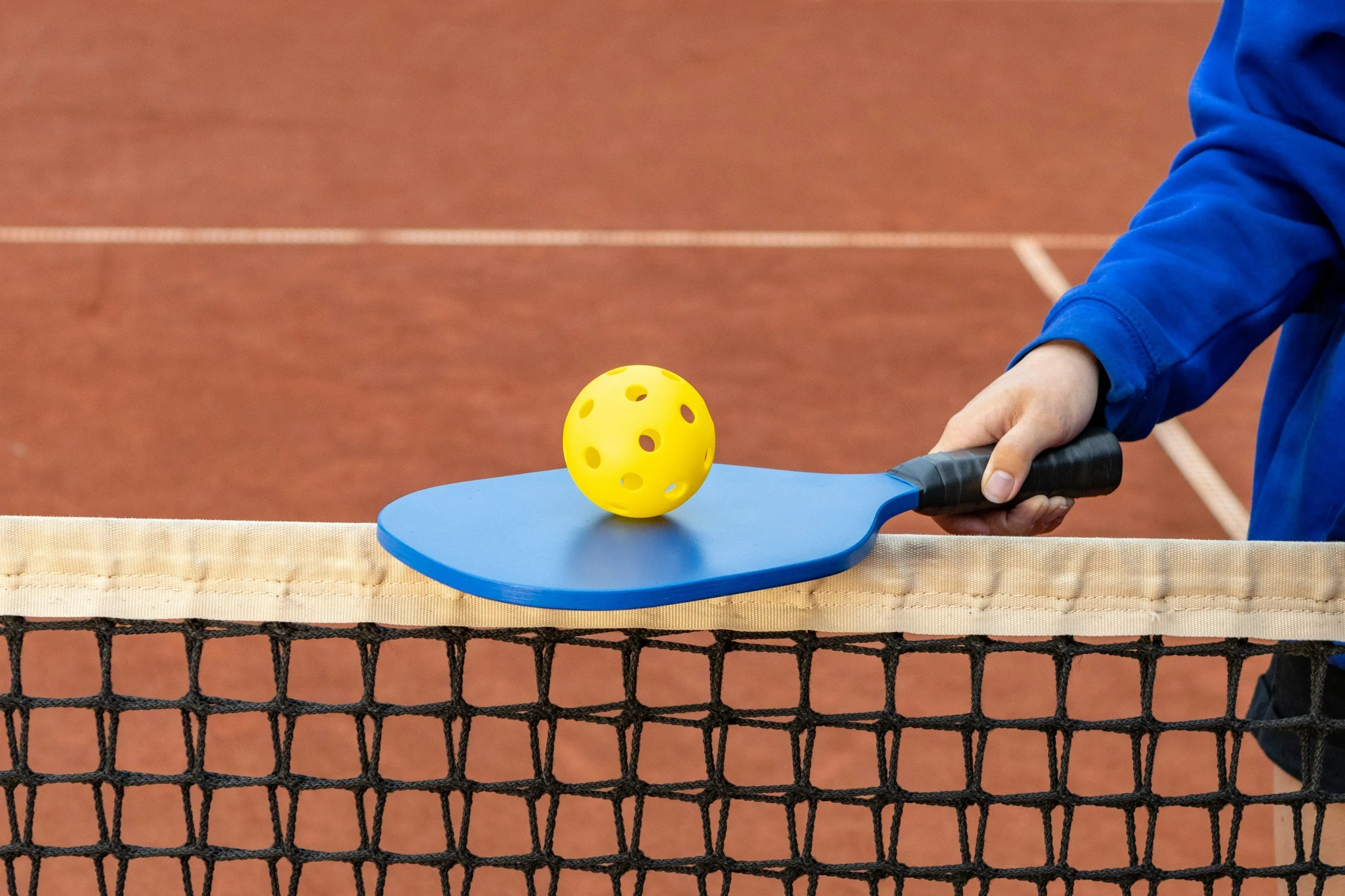 Dutton Fun Day Pickleball at the Park!