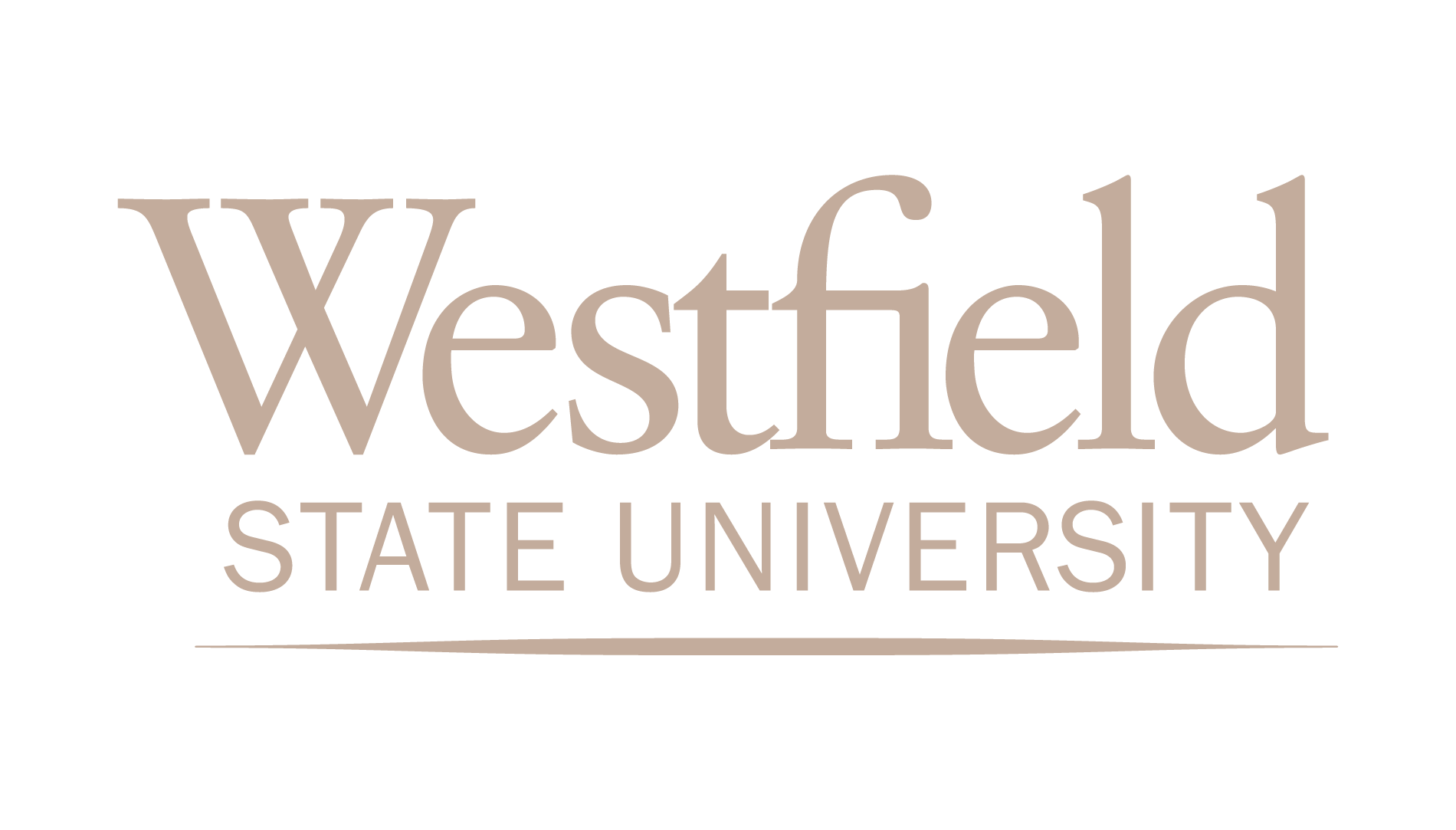 WSU Faculty Performance