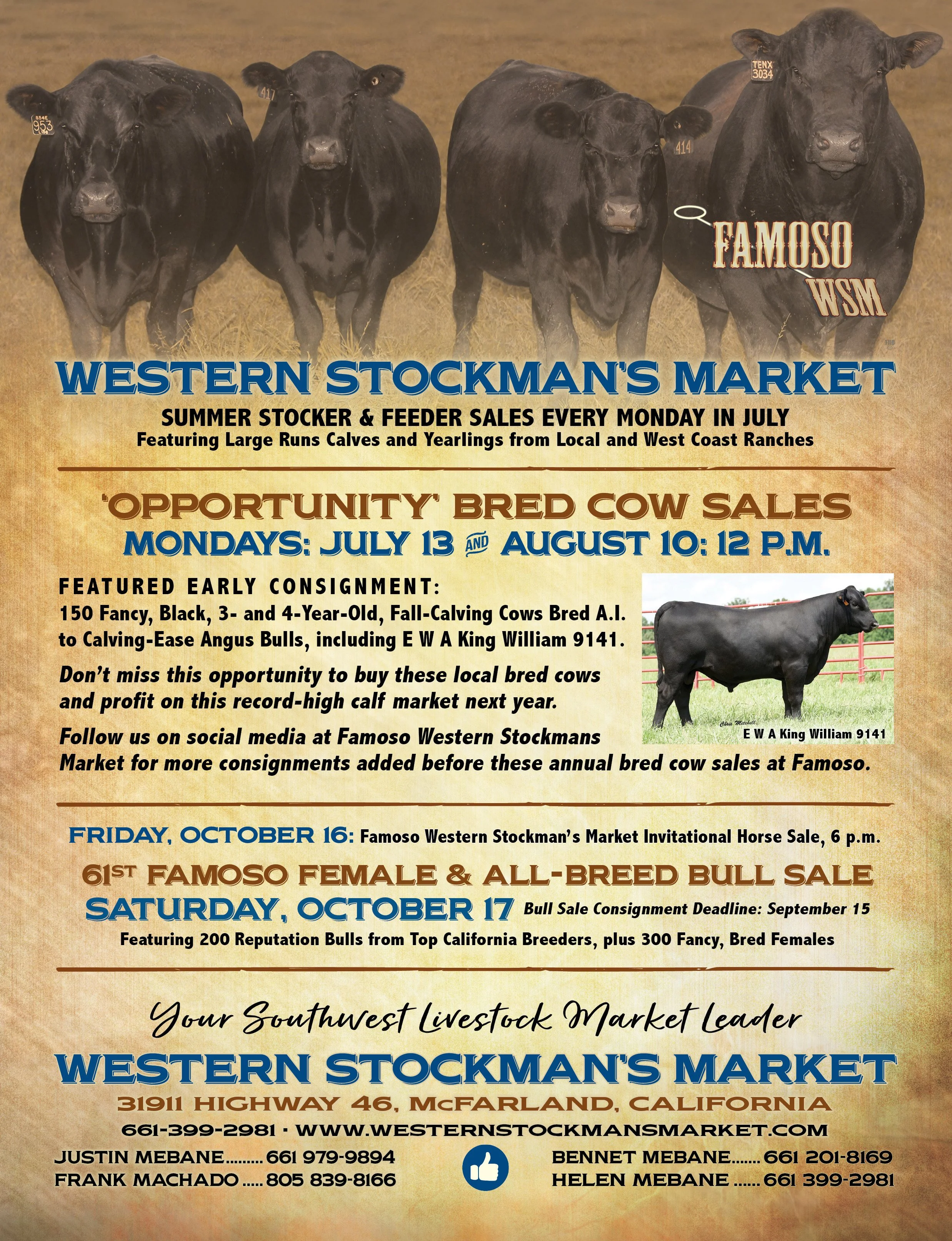 Opportunity Bred Cow Sale