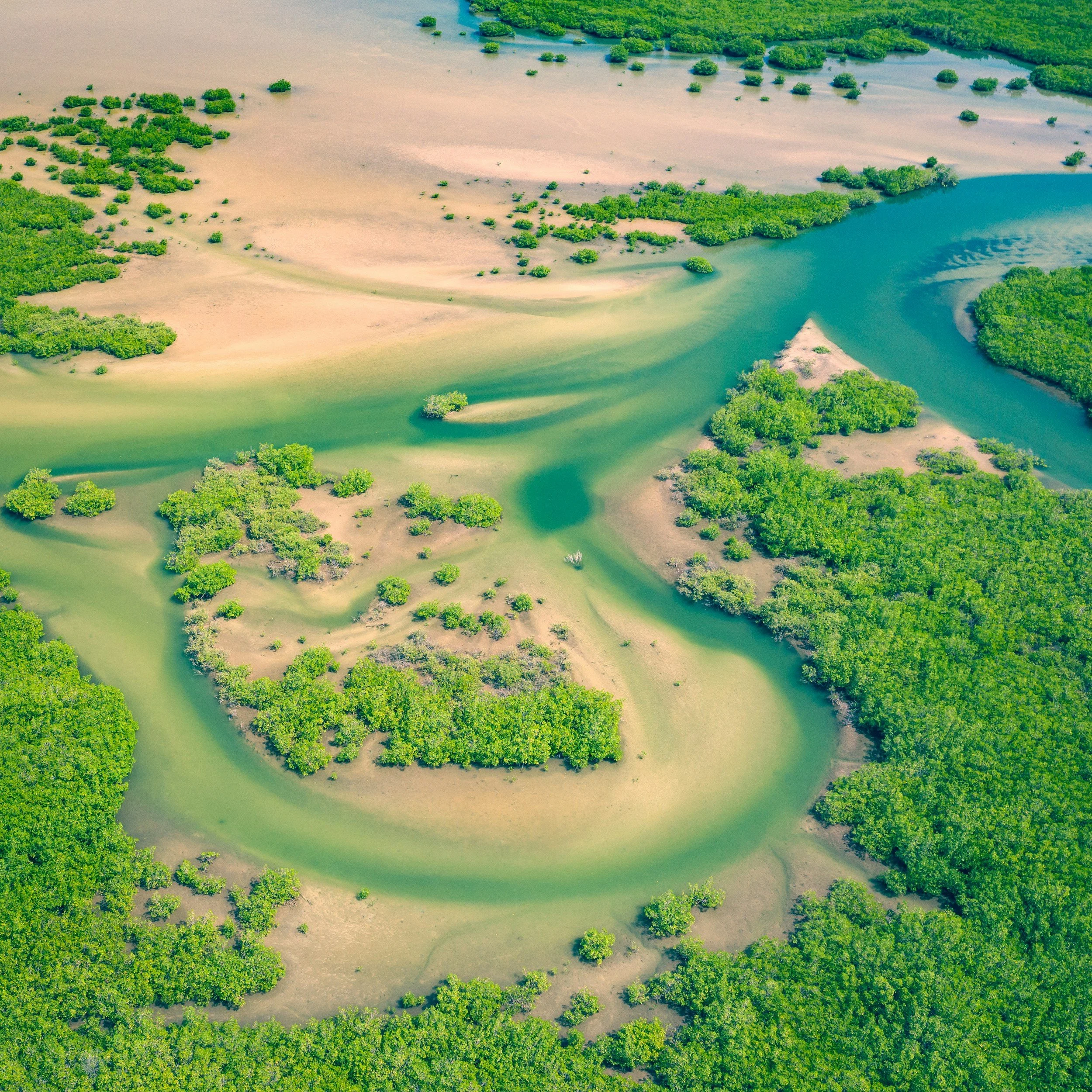 Aerial view of a winding river with lush green vegetation and small islands.