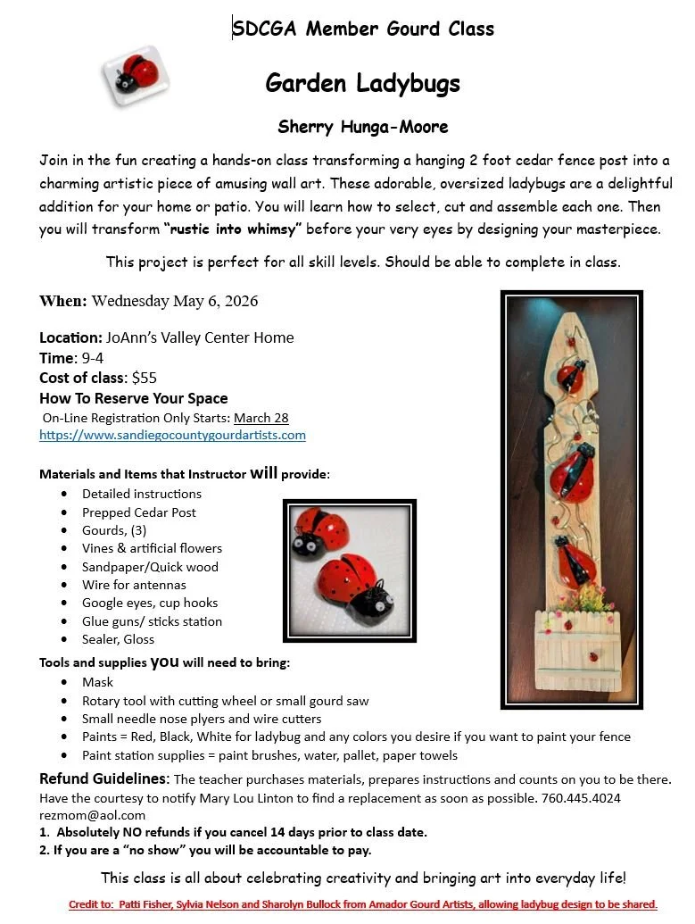 Patch Class  for members - Garden Ladybug Class