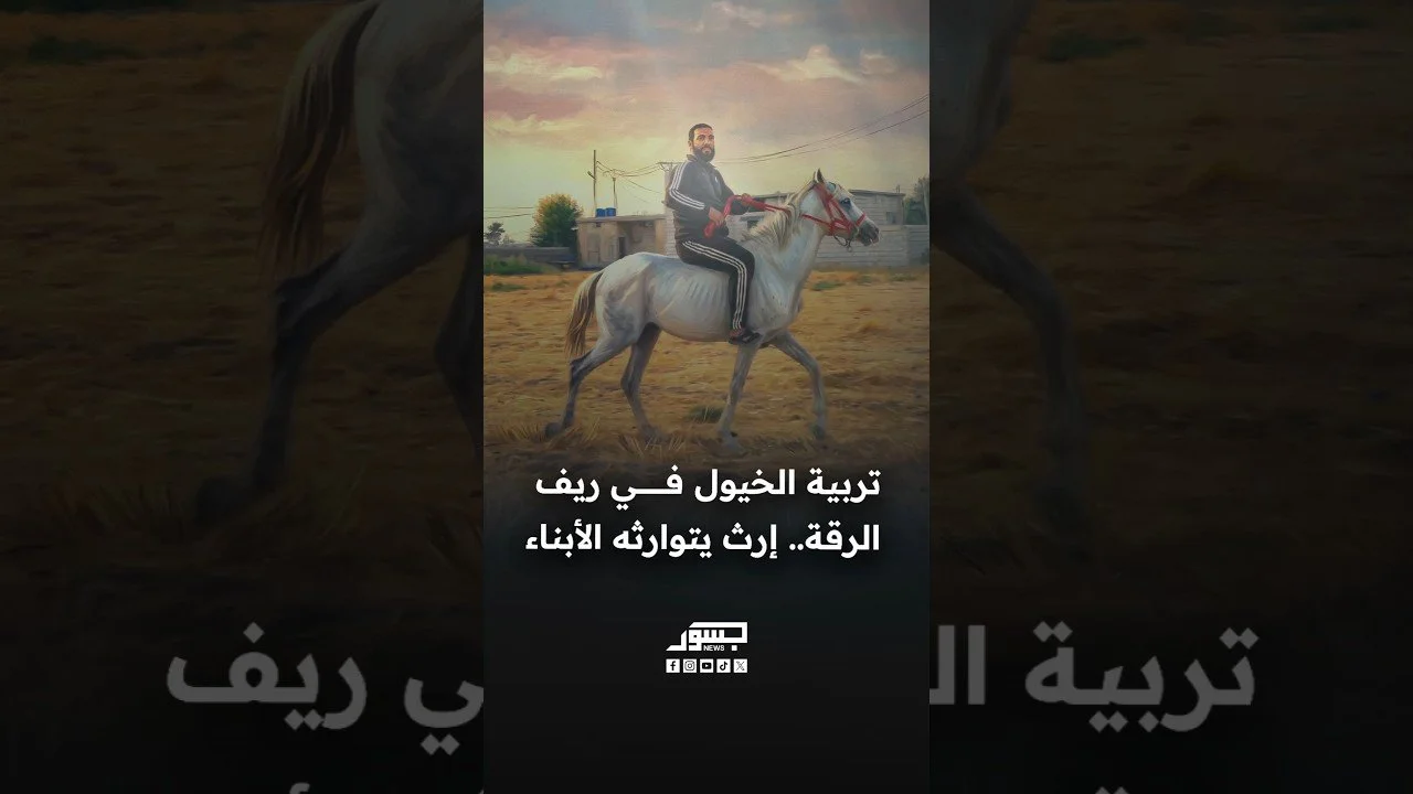 تربية الخيول في ريف الرقة.. إرث يتوارثه الأبناء