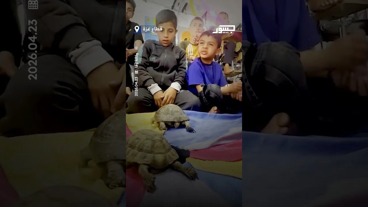 أطفال غزة يتفاعلون مع الحيوانات داخل مركز لإعادة التأهيل وللتخفيف عنهم نفسياً
