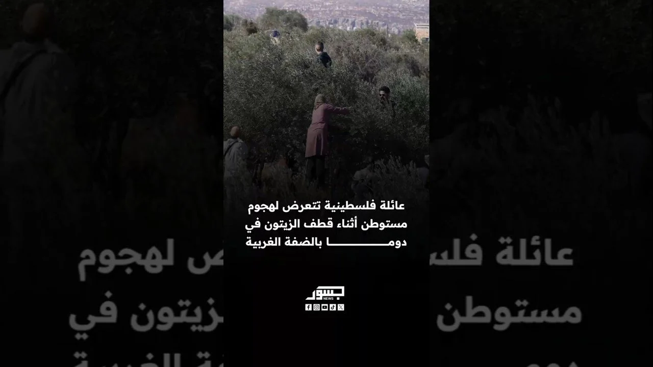 عائلة فلسطينية تتعرض لهجوم مستوطن أثناء قطف الزيتون في دوما بالضفة الغربية