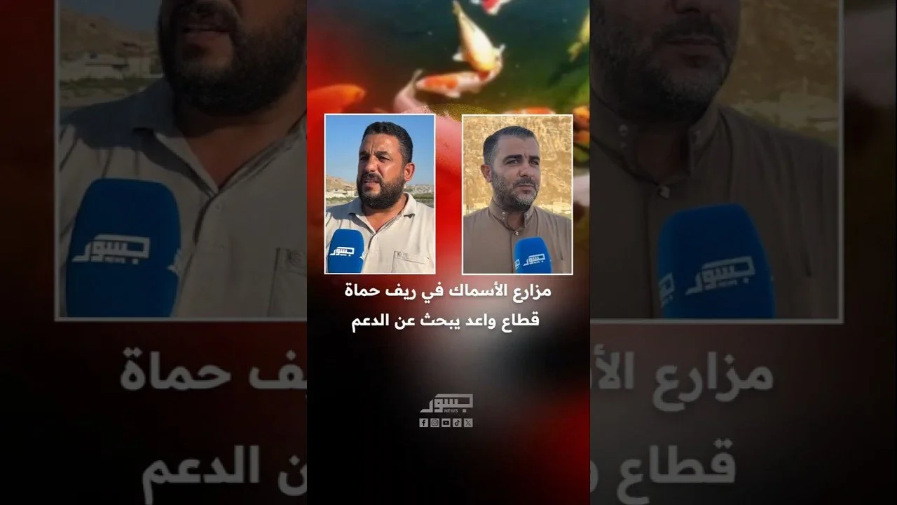 تشكل مزارع الأسماك في قرية الشريعة بريف حماة مصدر رزق للعديد من المربين