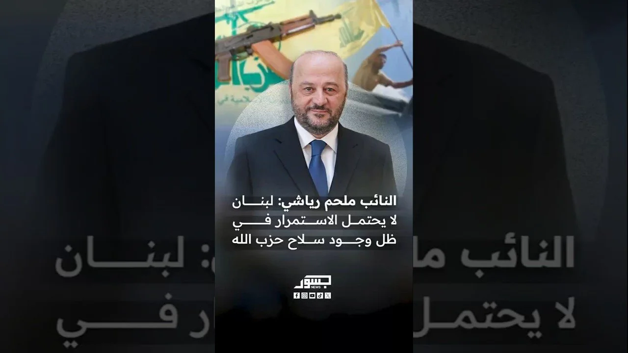 البرلماني اللبناني ملحم رياشي: لبنان لايحتمل الاستمرار في ظل وجود سلاح حزب الله