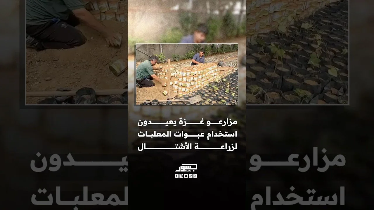 مزارعو غزة يعيدون استخدام عبوات المعلبات الفارغة لزراعة الأشتال في ظل شح الإمكانات