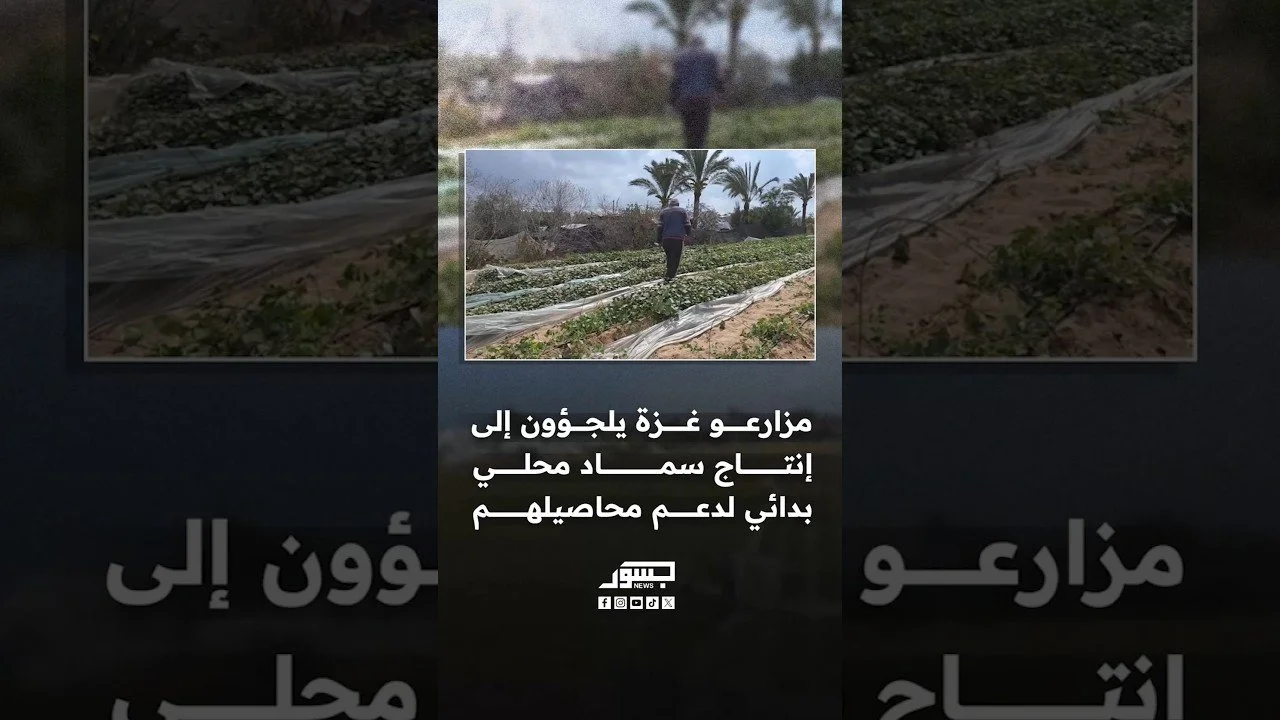 مزارعو غزة يلجؤون إلى إنتاج سماد محلي بدائي لدعم محاصيلهم