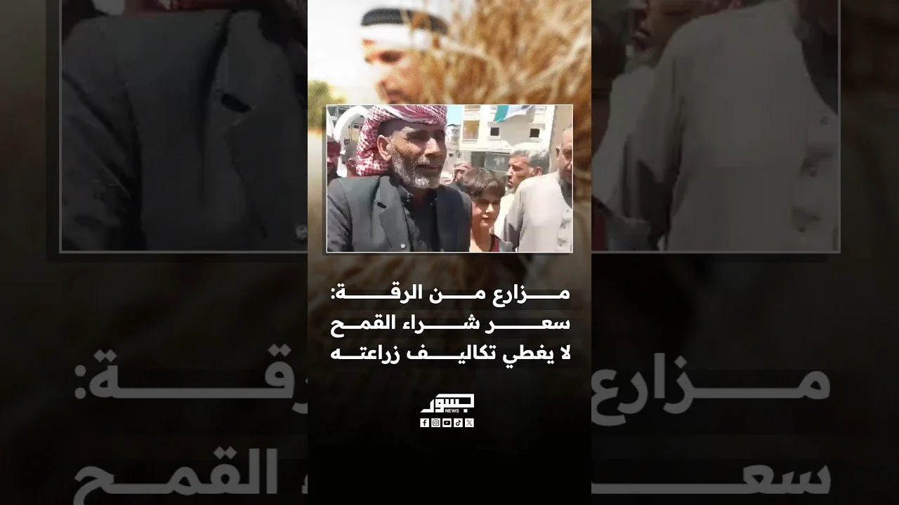 مزارع من الرقة: سعر شراء القمح لا يغطي تكاليف زراعته